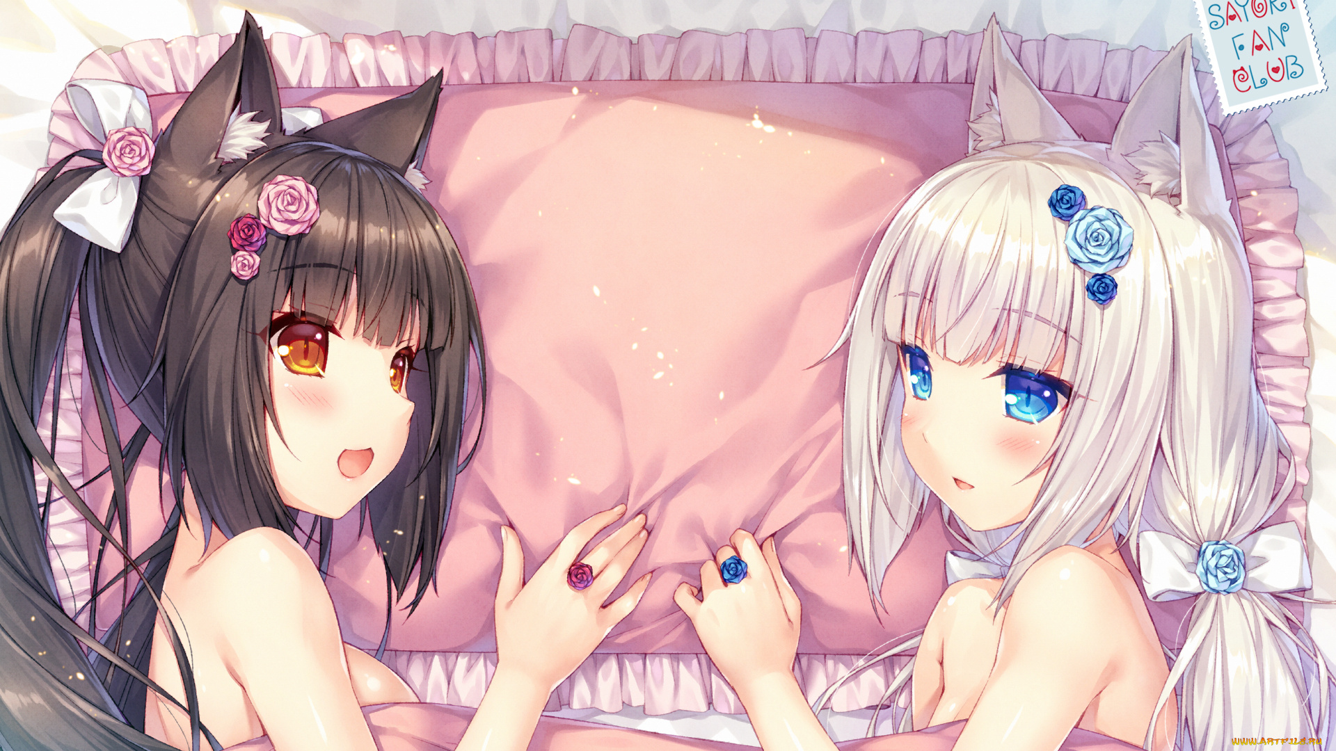 аниме, nekopara, девушки, взгляд, фон