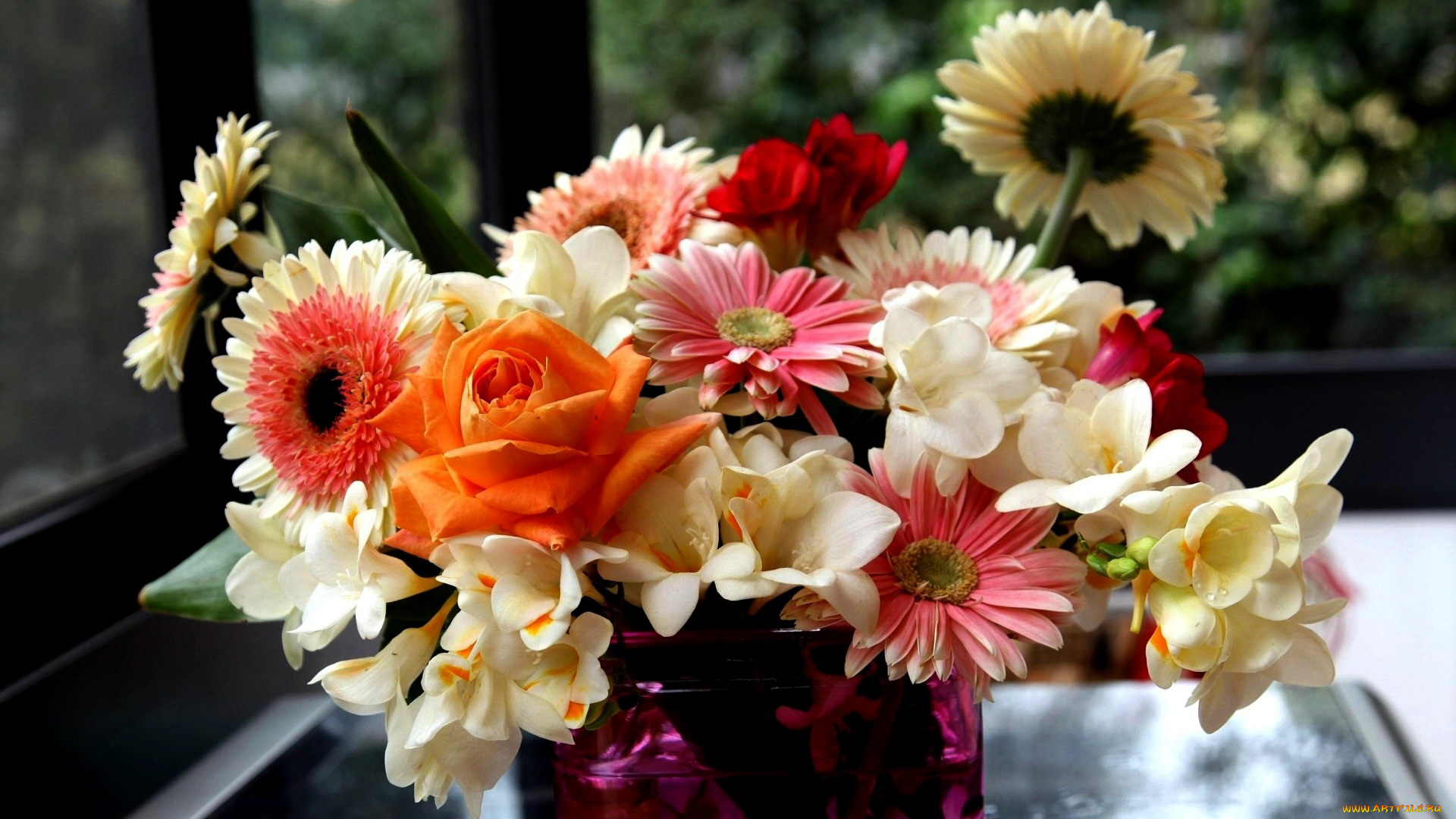 цветы, букеты, , композиции, роза, фрезии, герберы