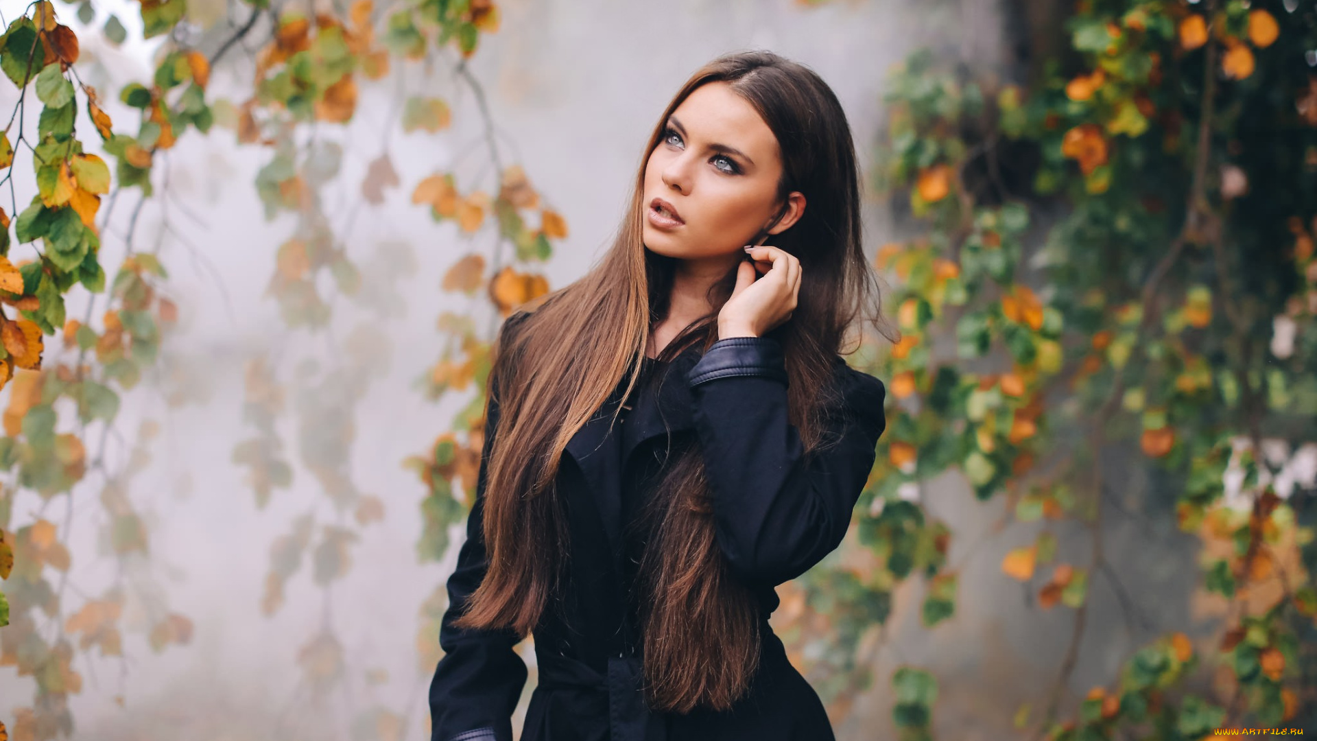 девушки, -unsort, , брюнетки, , шатенки, плащ, осень, ветки, туман