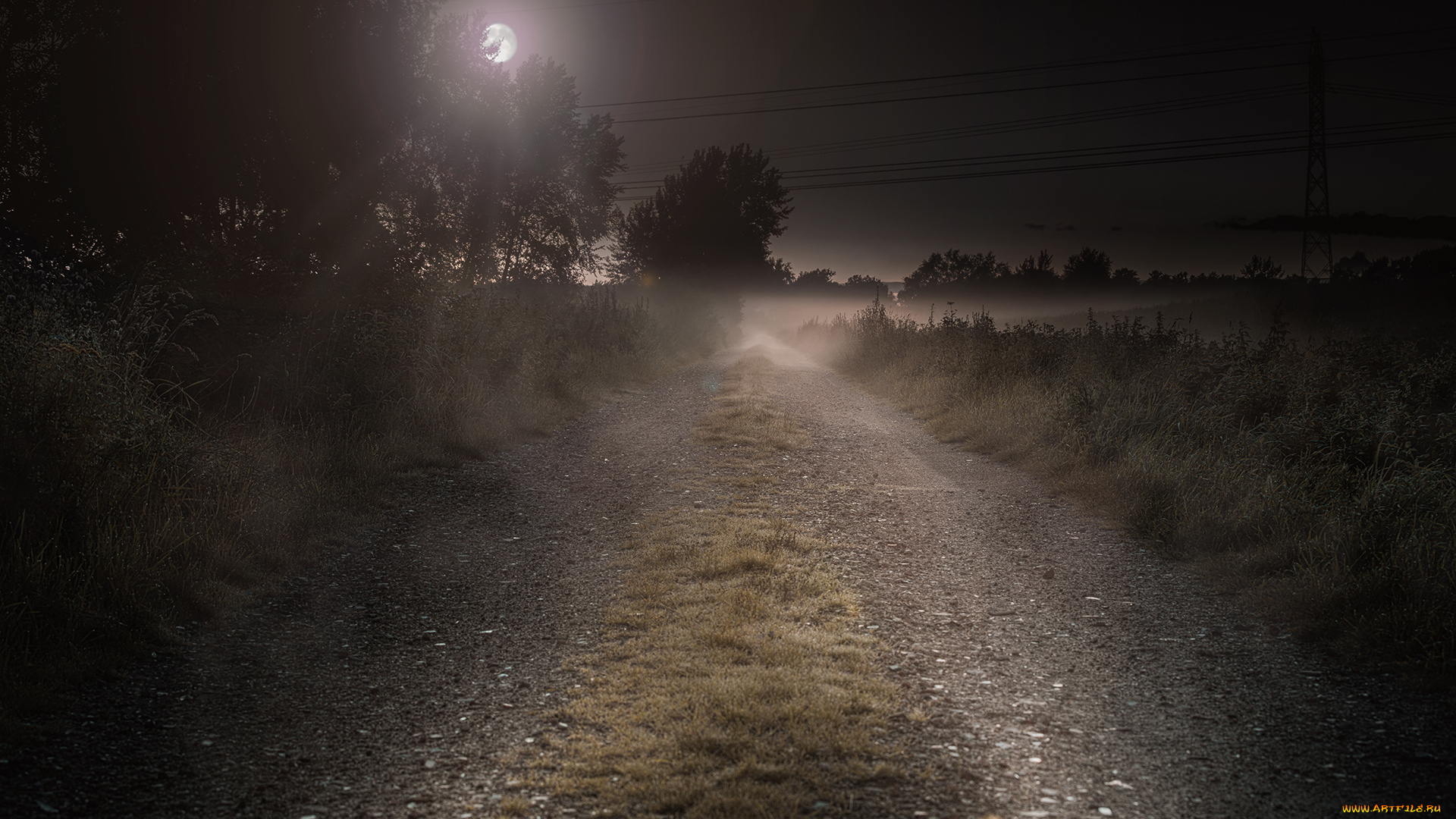природа, дороги, ночь, дорога, луна