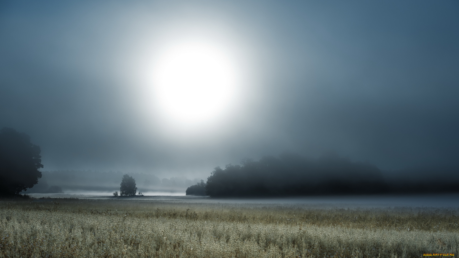 природа, пейзажи, туман, поле, ночь