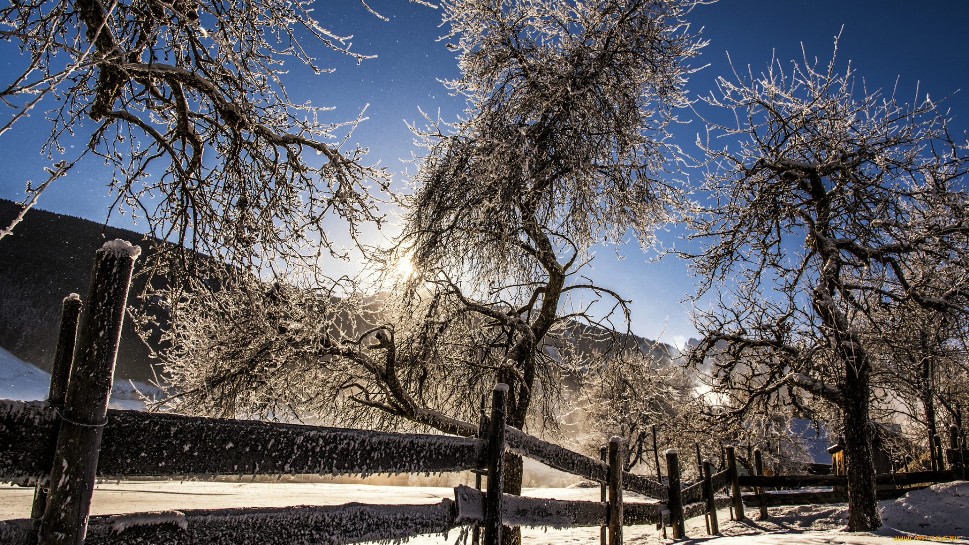 природа, зима, снег