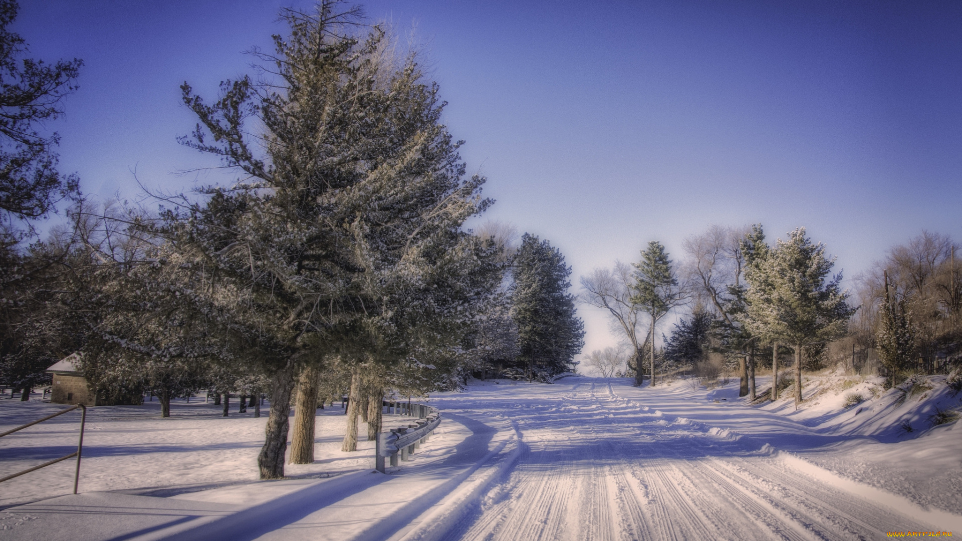 природа, зима, снег