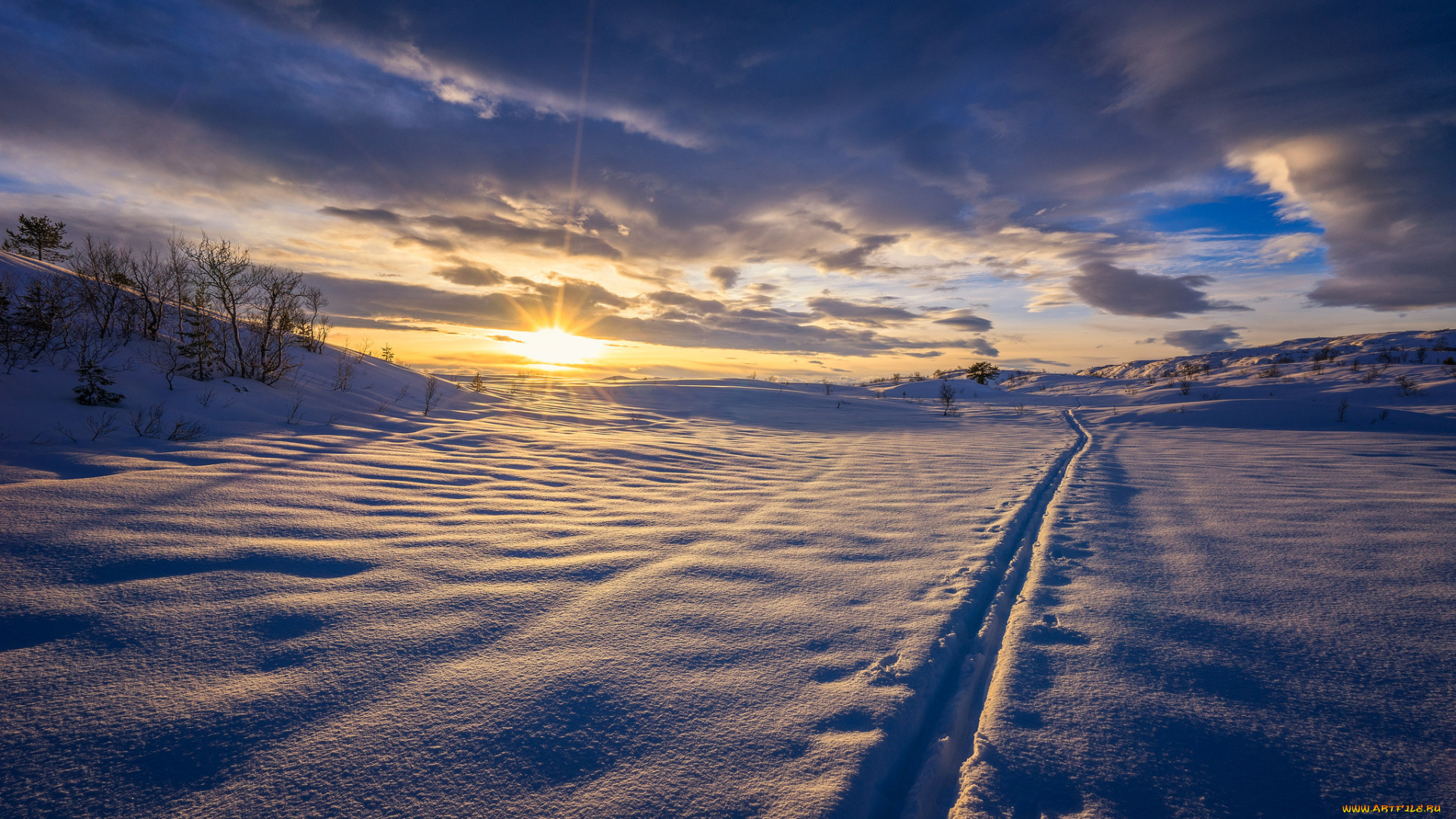 природа, зима, снег