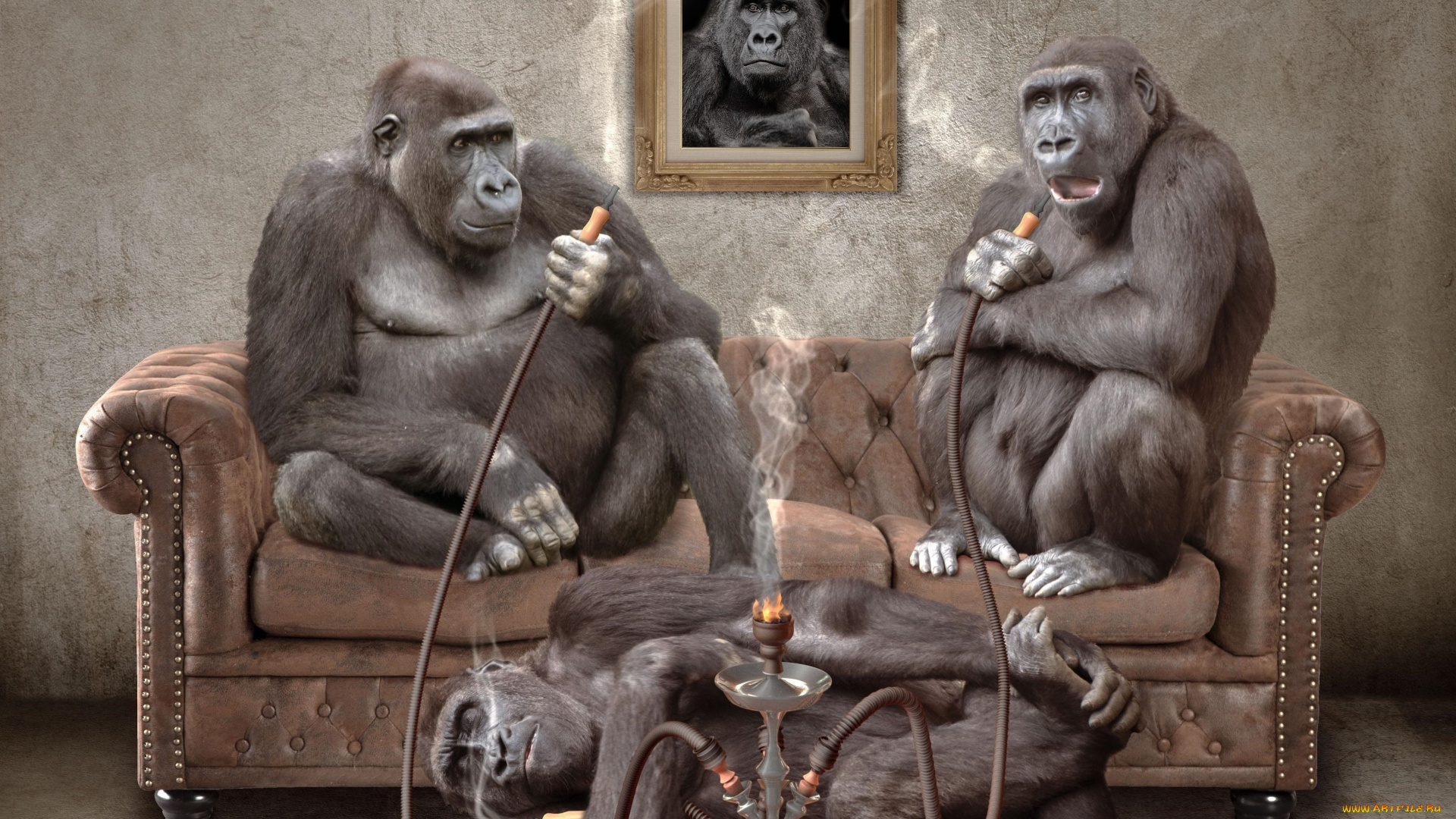 юмор, и, приколы, кайф, кальян, обезьяны