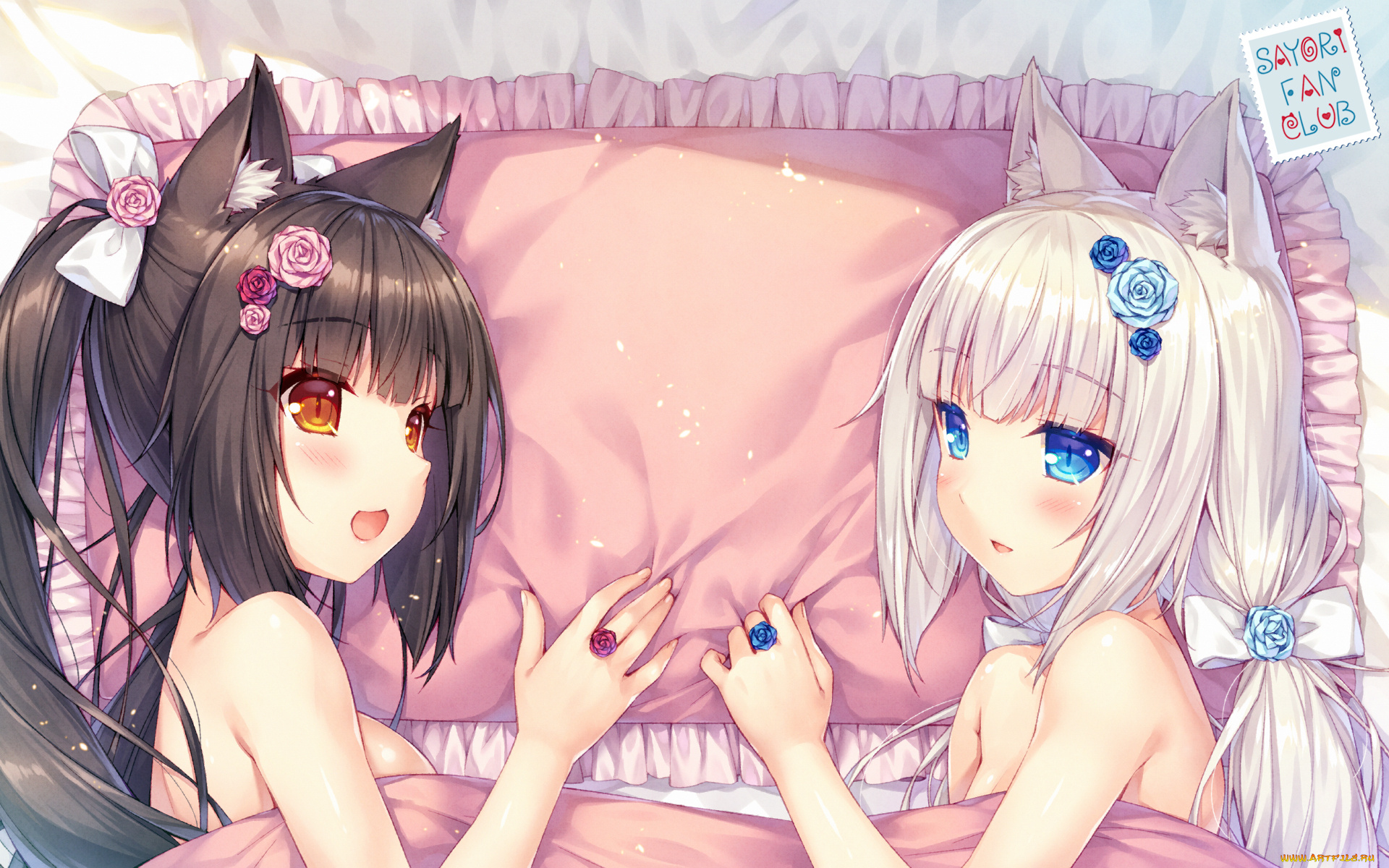 аниме, nekopara, девушки, взгляд, фон