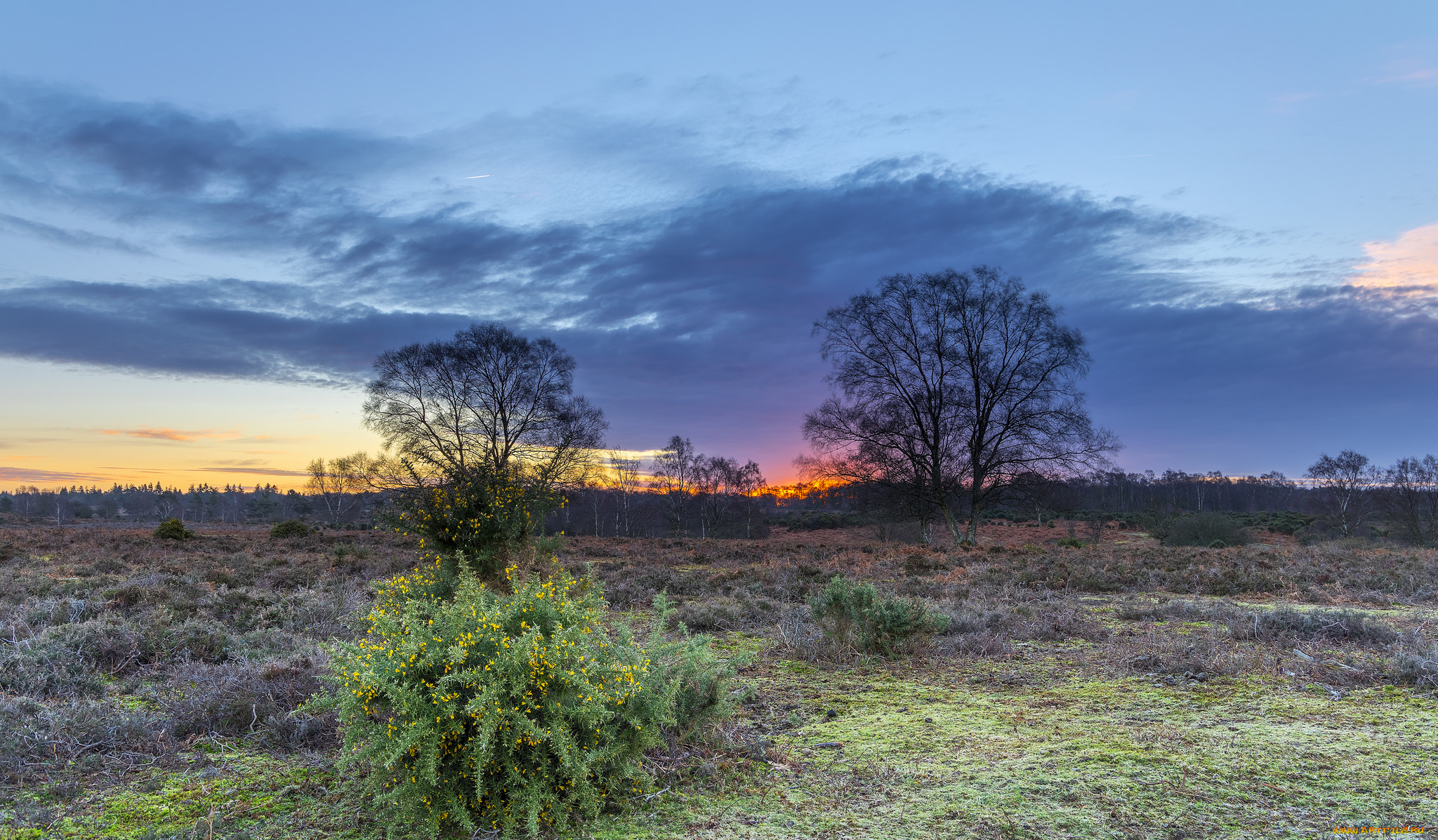 природа, пейзажи, простор