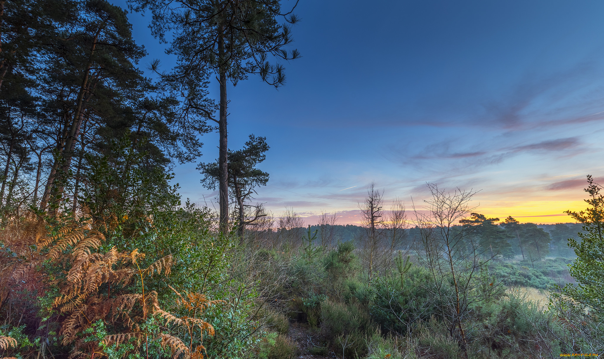 природа, пейзажи, простор