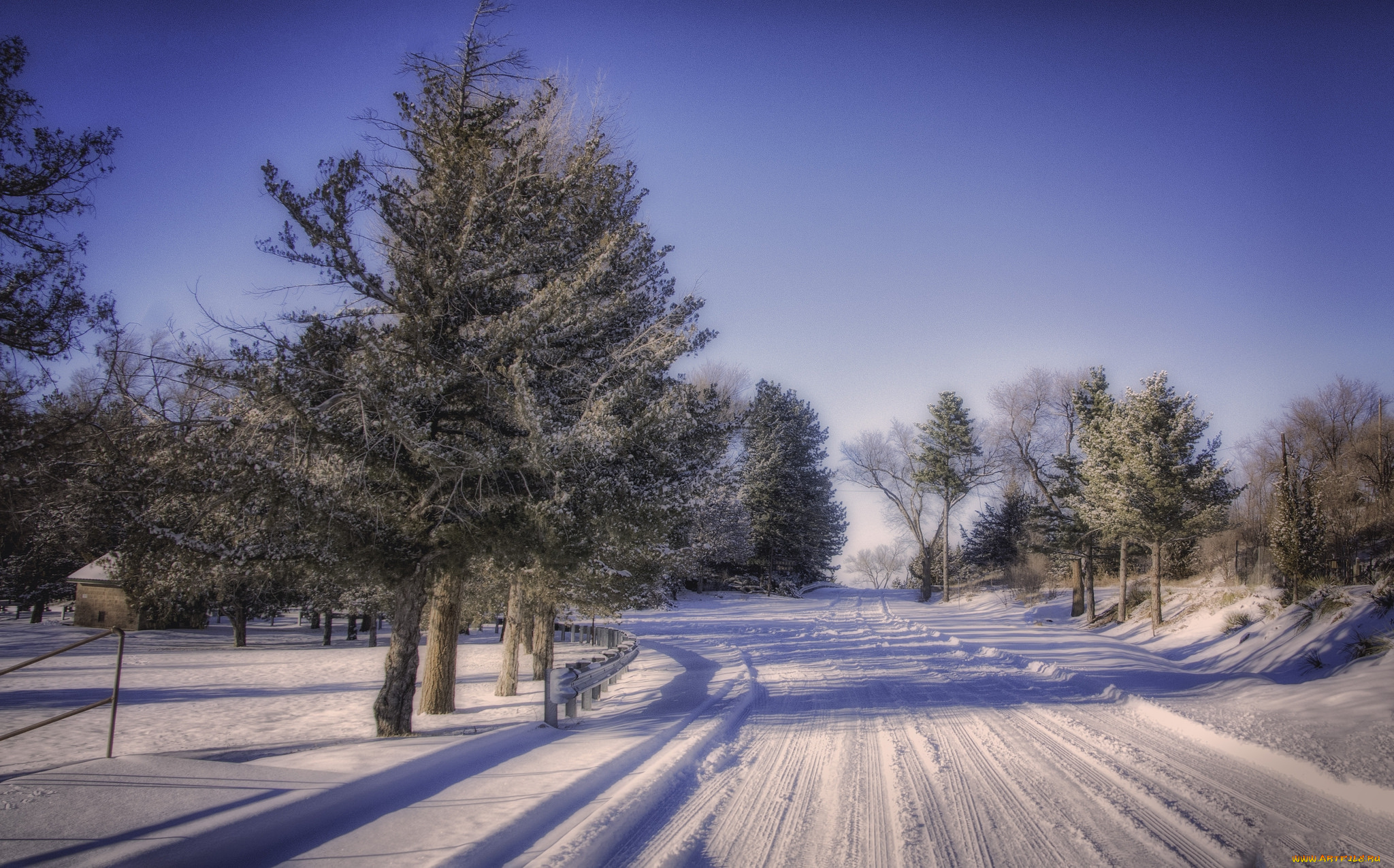 природа, зима, снег