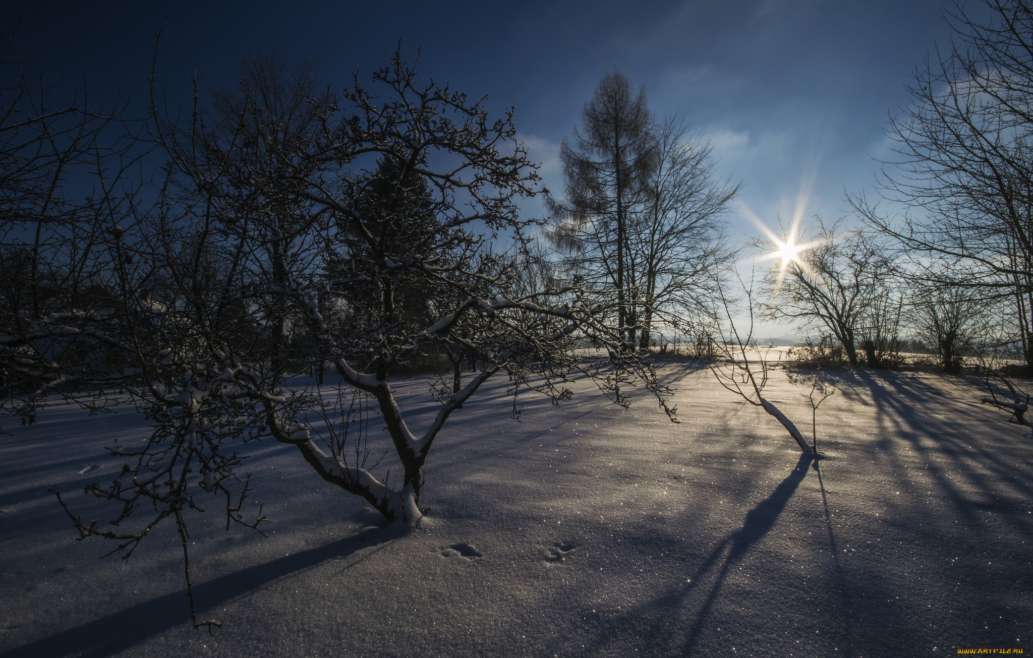 природа, зима, снег