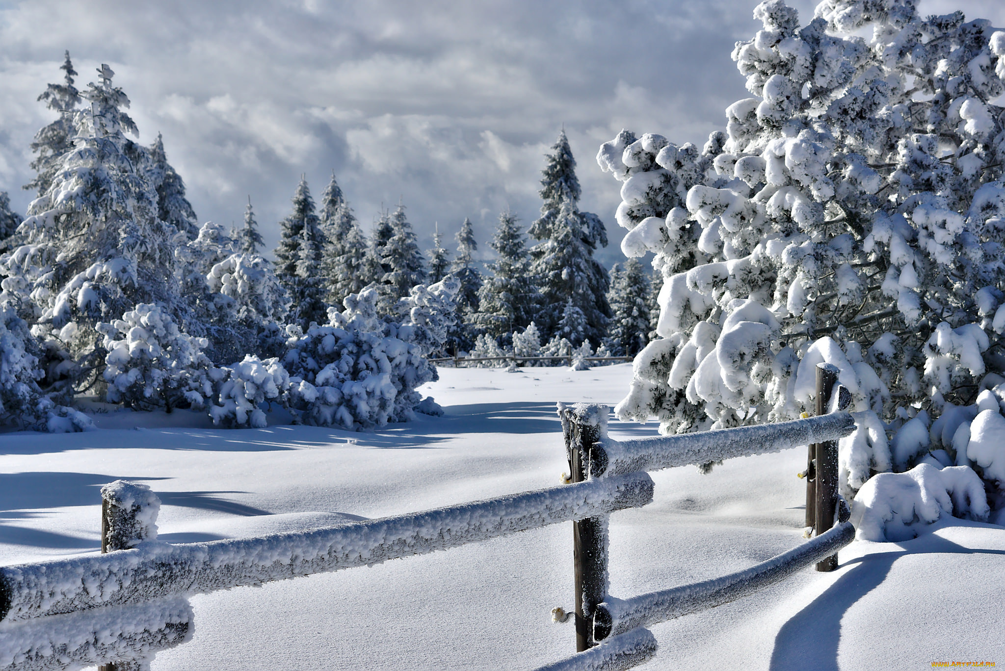 природа, зима, снег