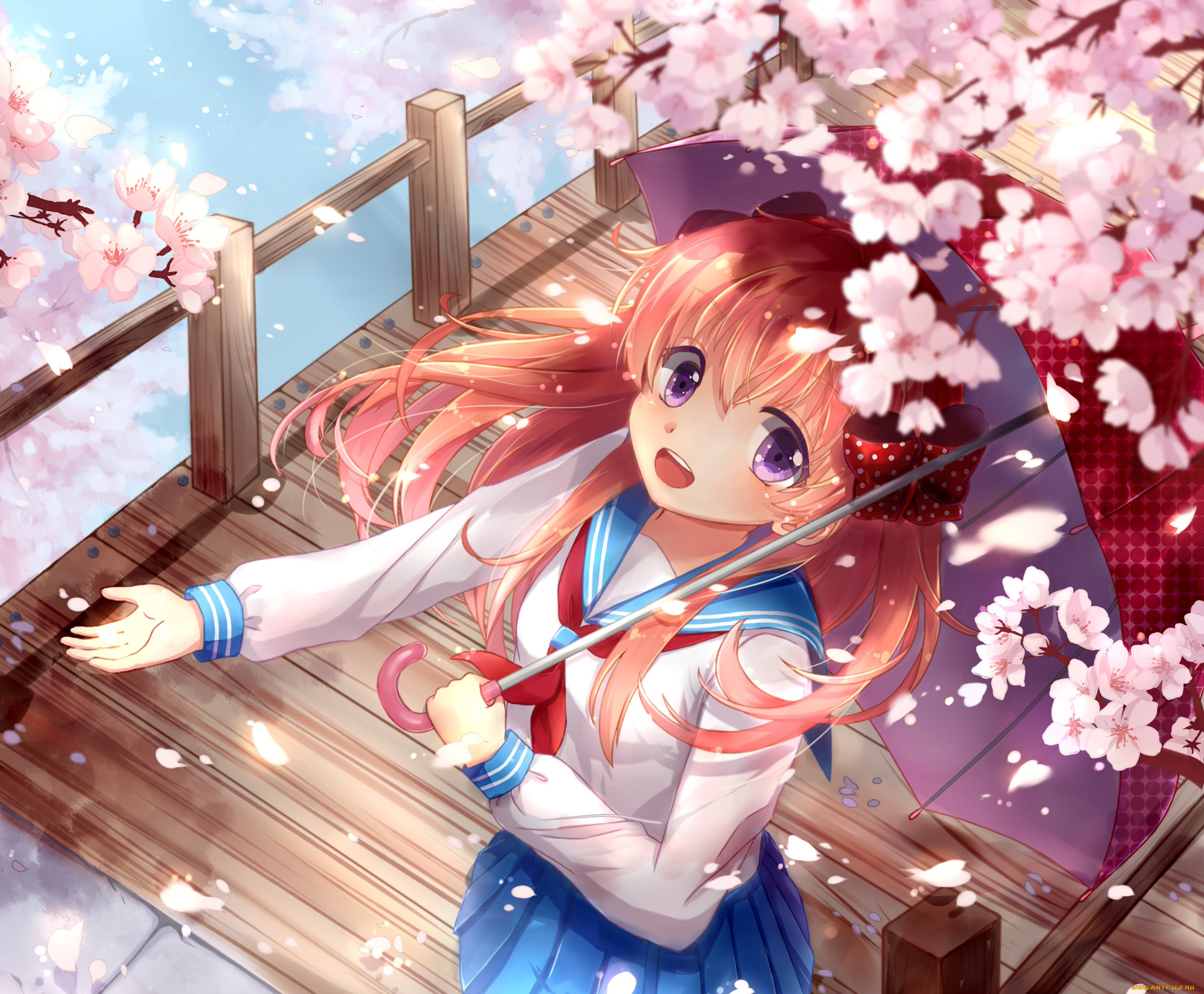 аниме, gekkan, shoujo, nozaki-kun, sakura, chiyo