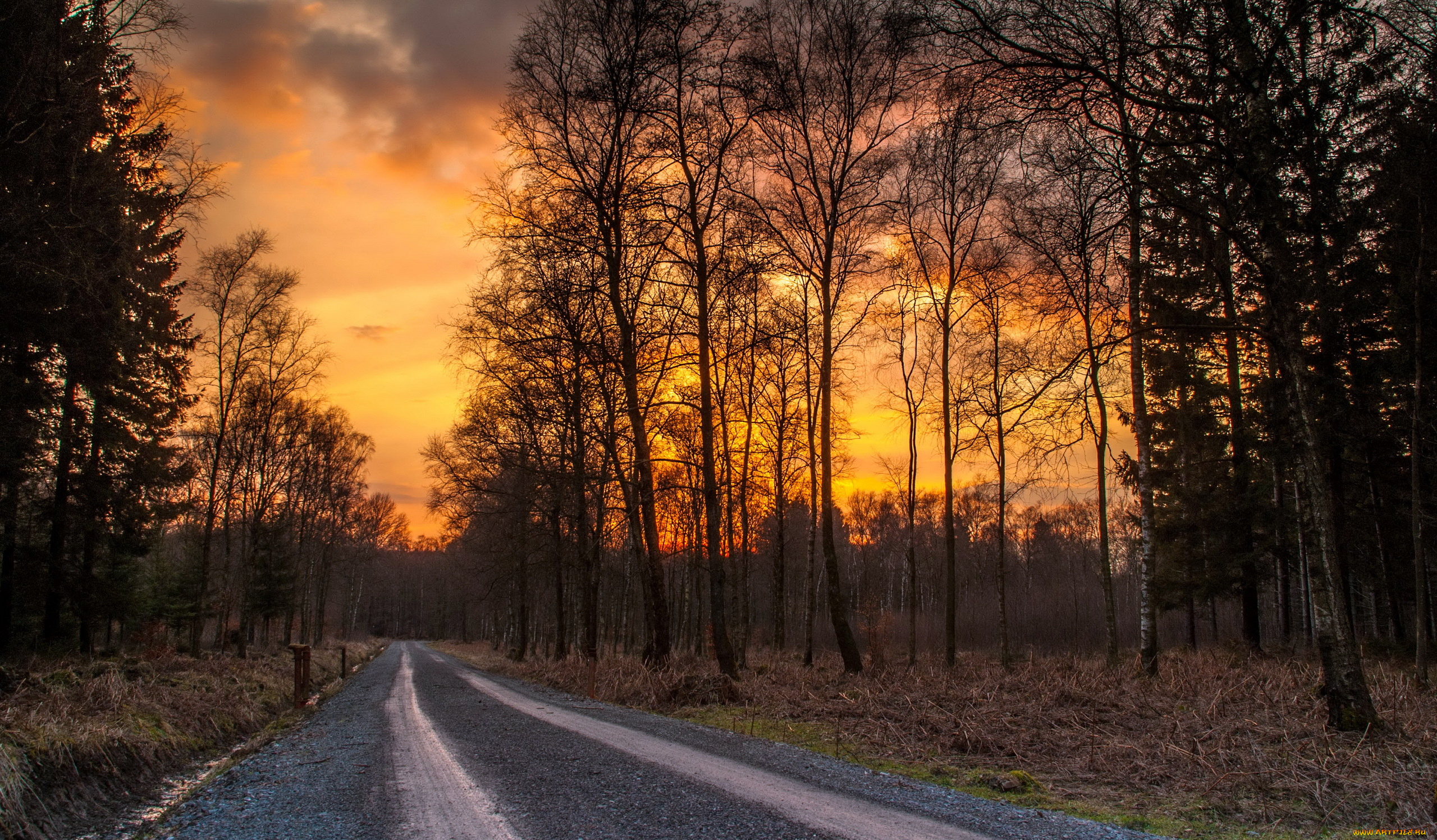природа, дороги, дорога, осень, лес, закат