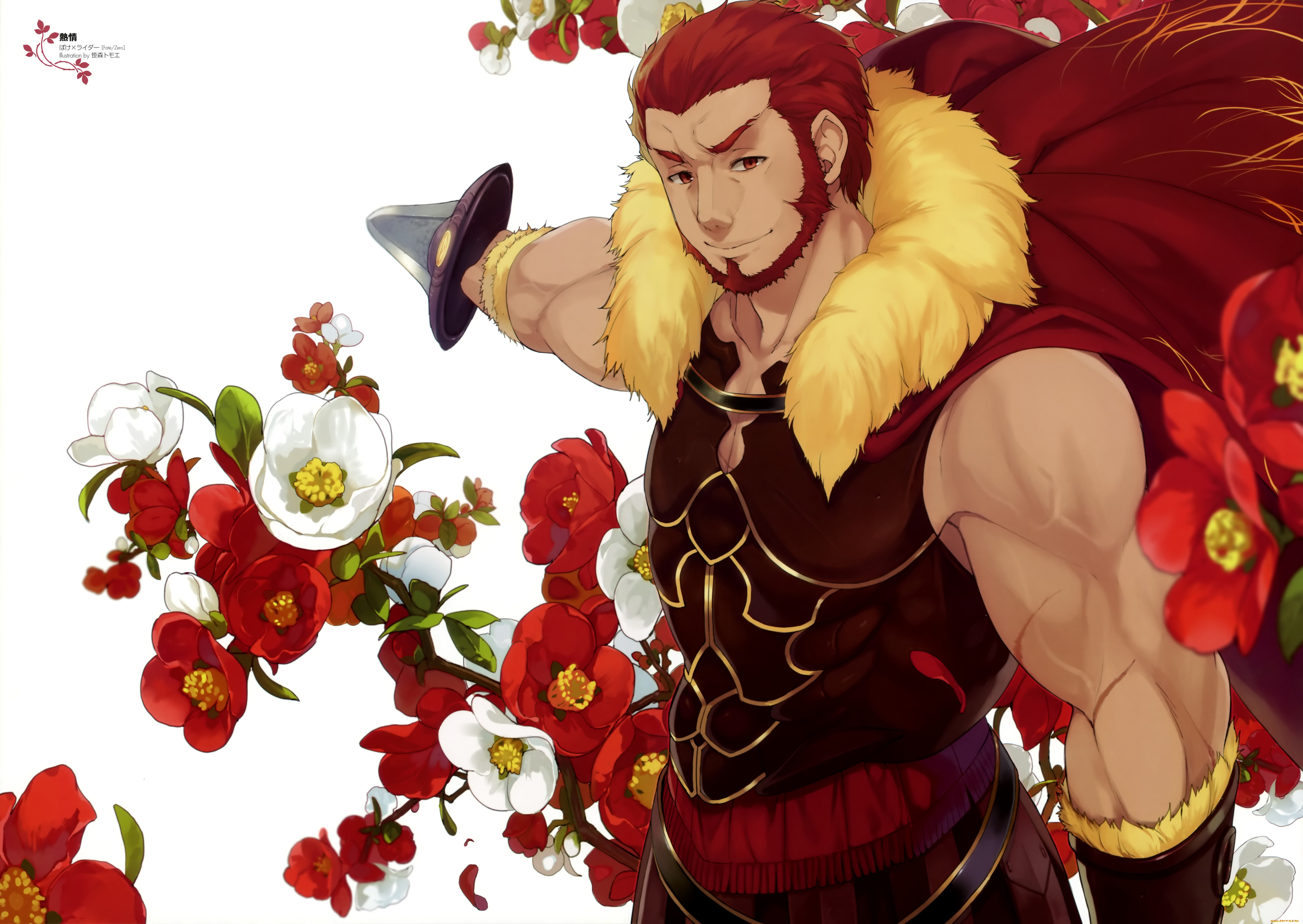 аниме, fate, zero, rider