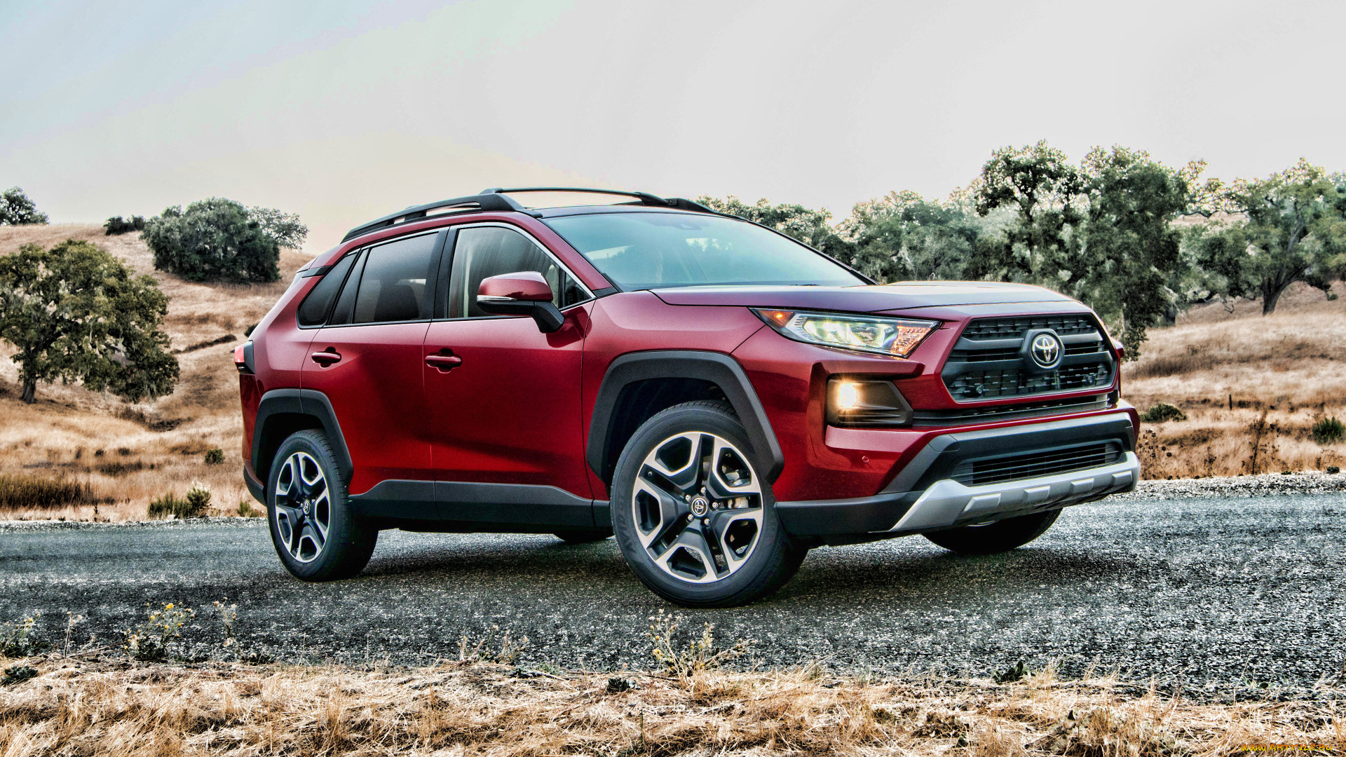 2019, toyota, rav4, автомобили, toyota, японские, тойота, красный, кроссоверы
