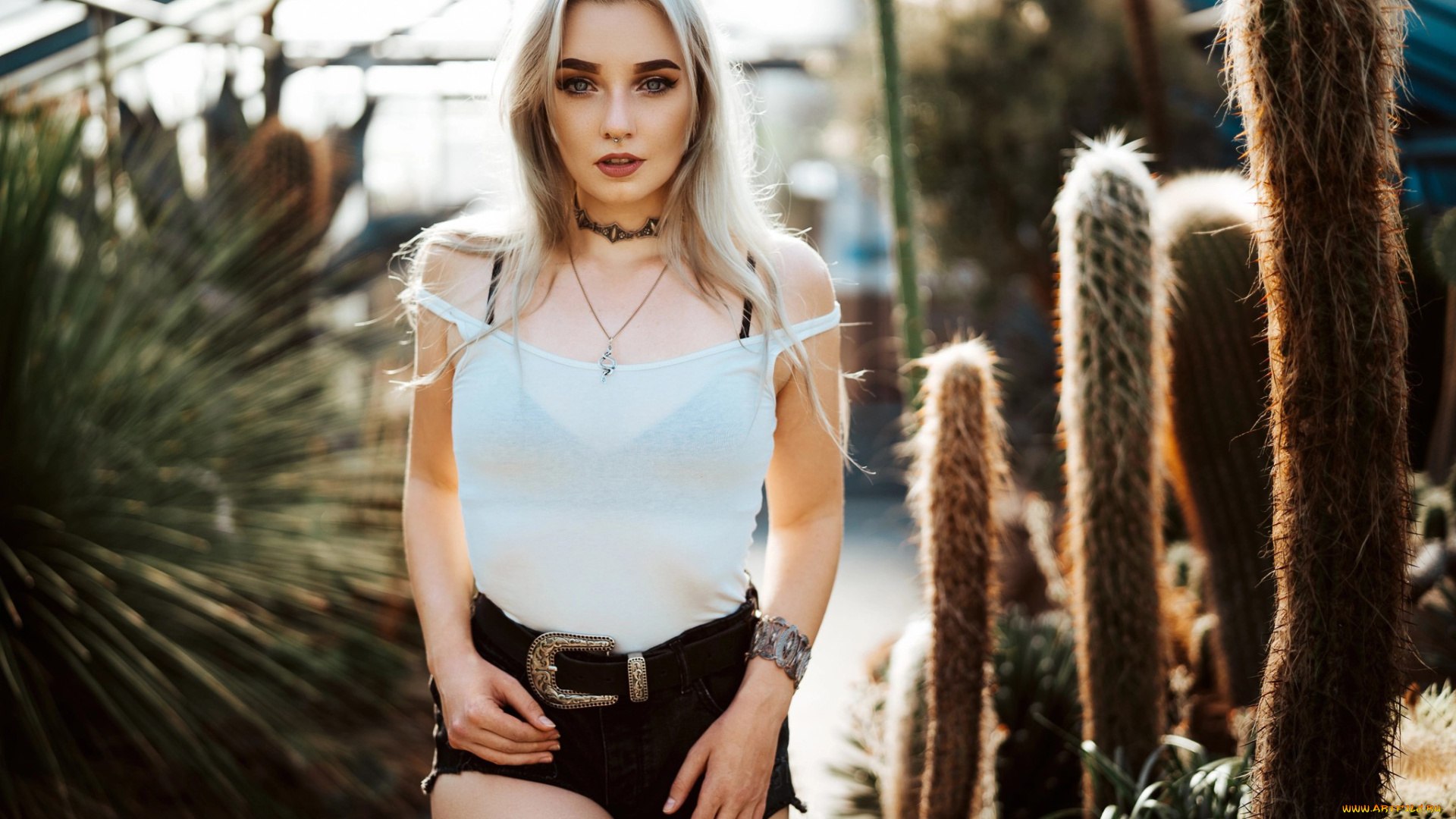 девушка, девушки, -unsort, , блондинки, , светловолосые, модель