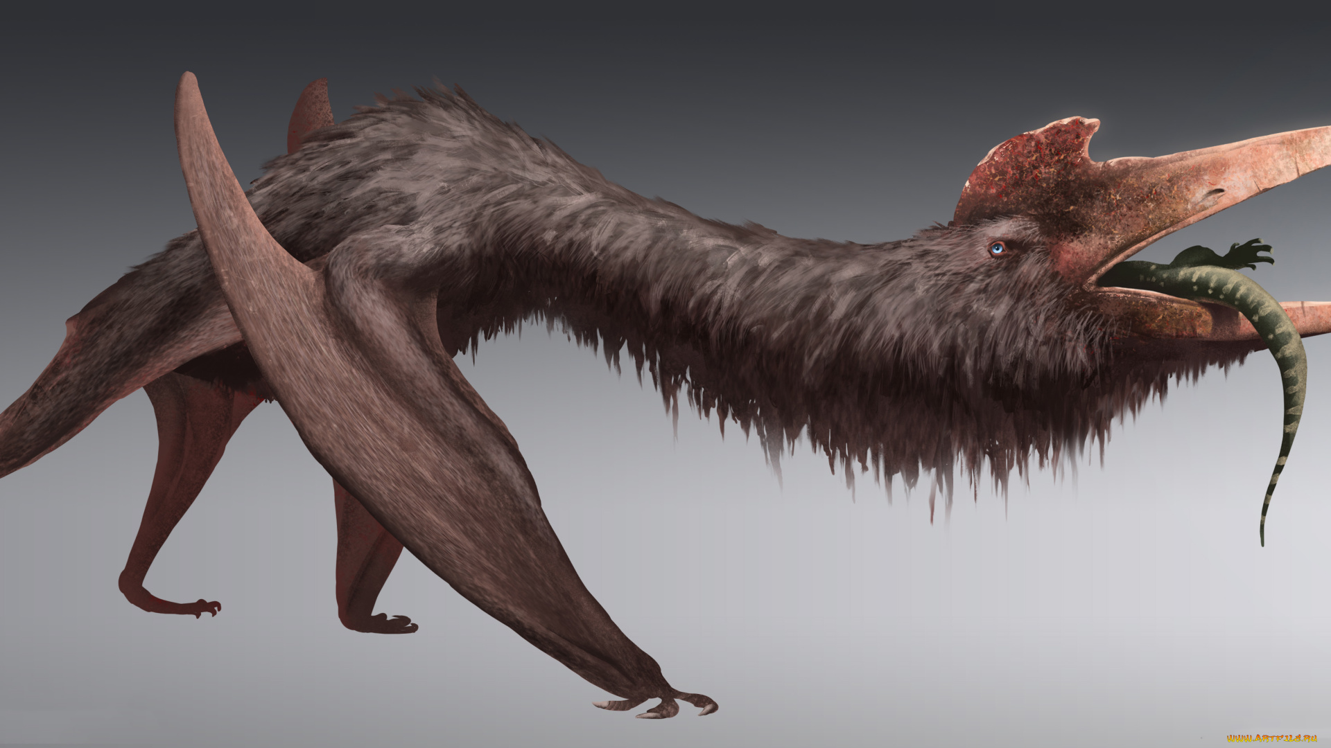 фэнтези, существа, животное, клюв, фон