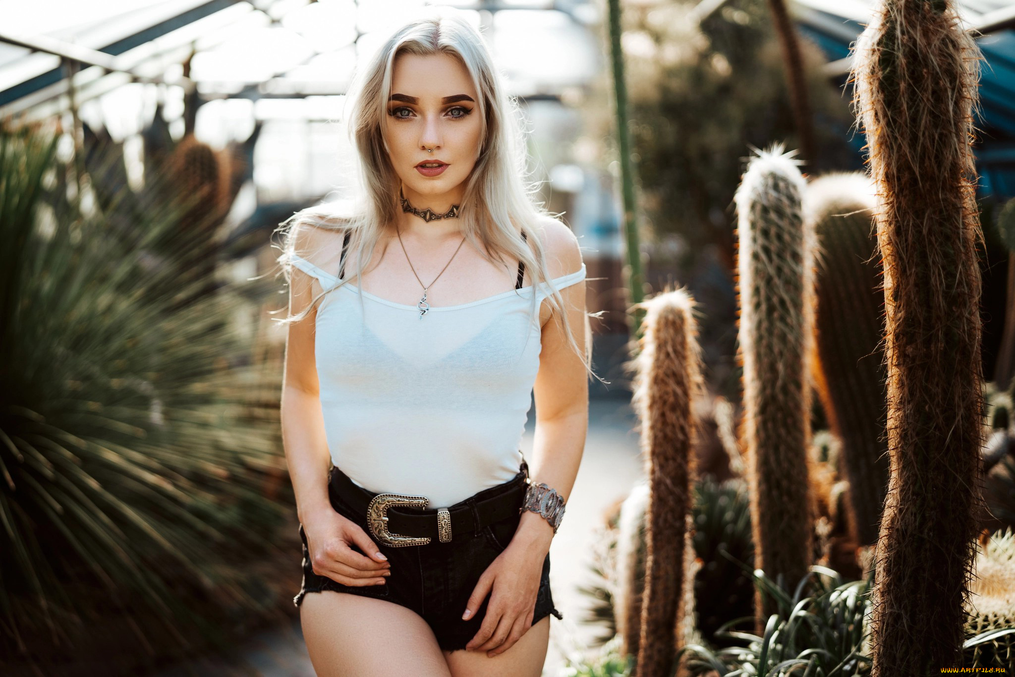 девушка, девушки, -unsort, , блондинки, , светловолосые, модель