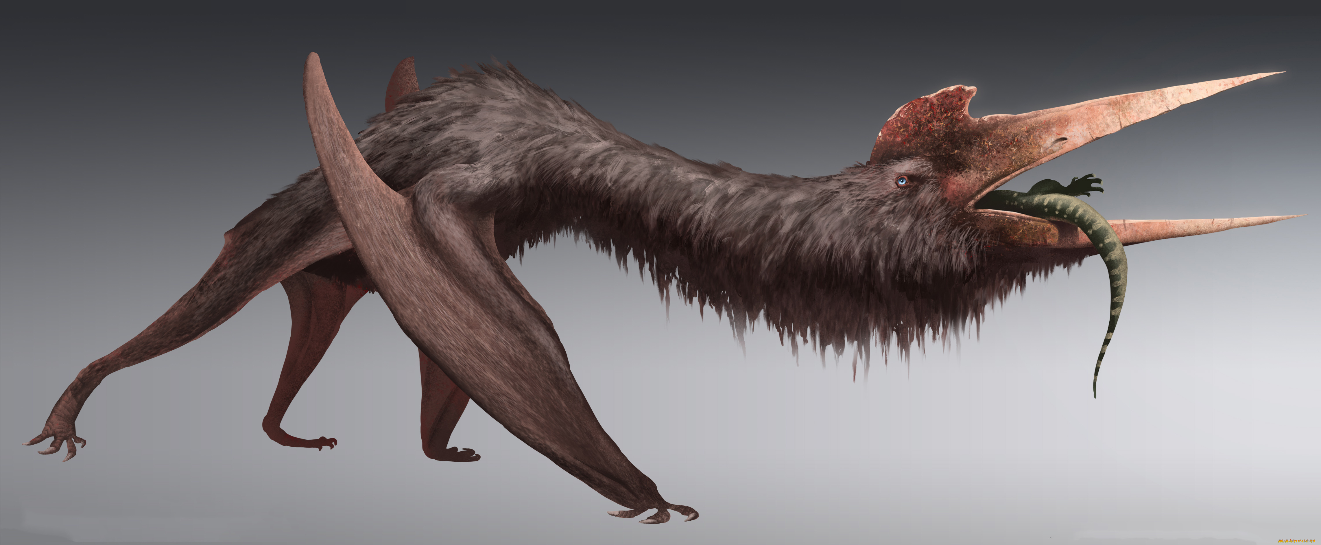 фэнтези, существа, животное, клюв, фон