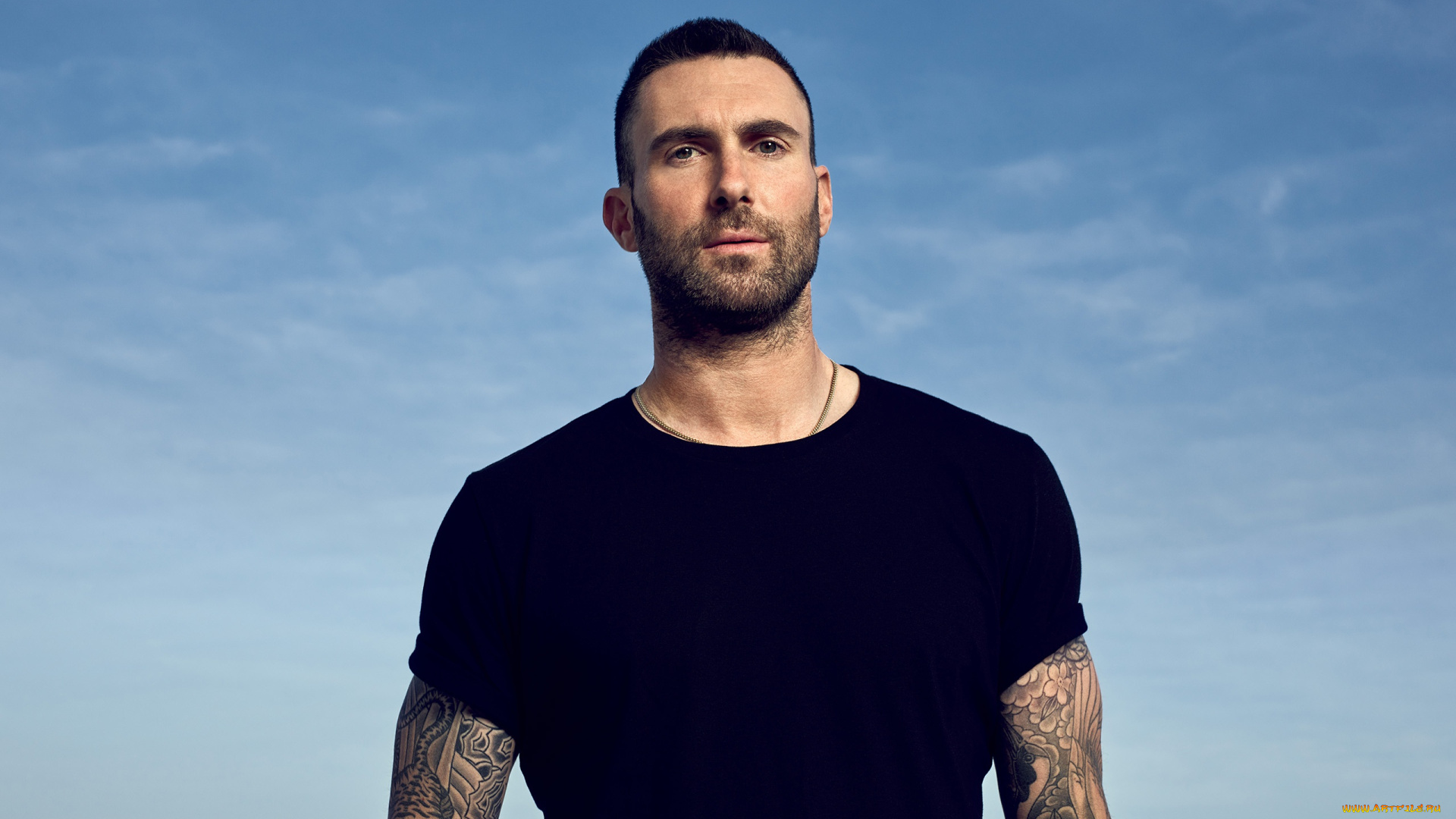 adam, levine, музыка, -другое, adam, levine