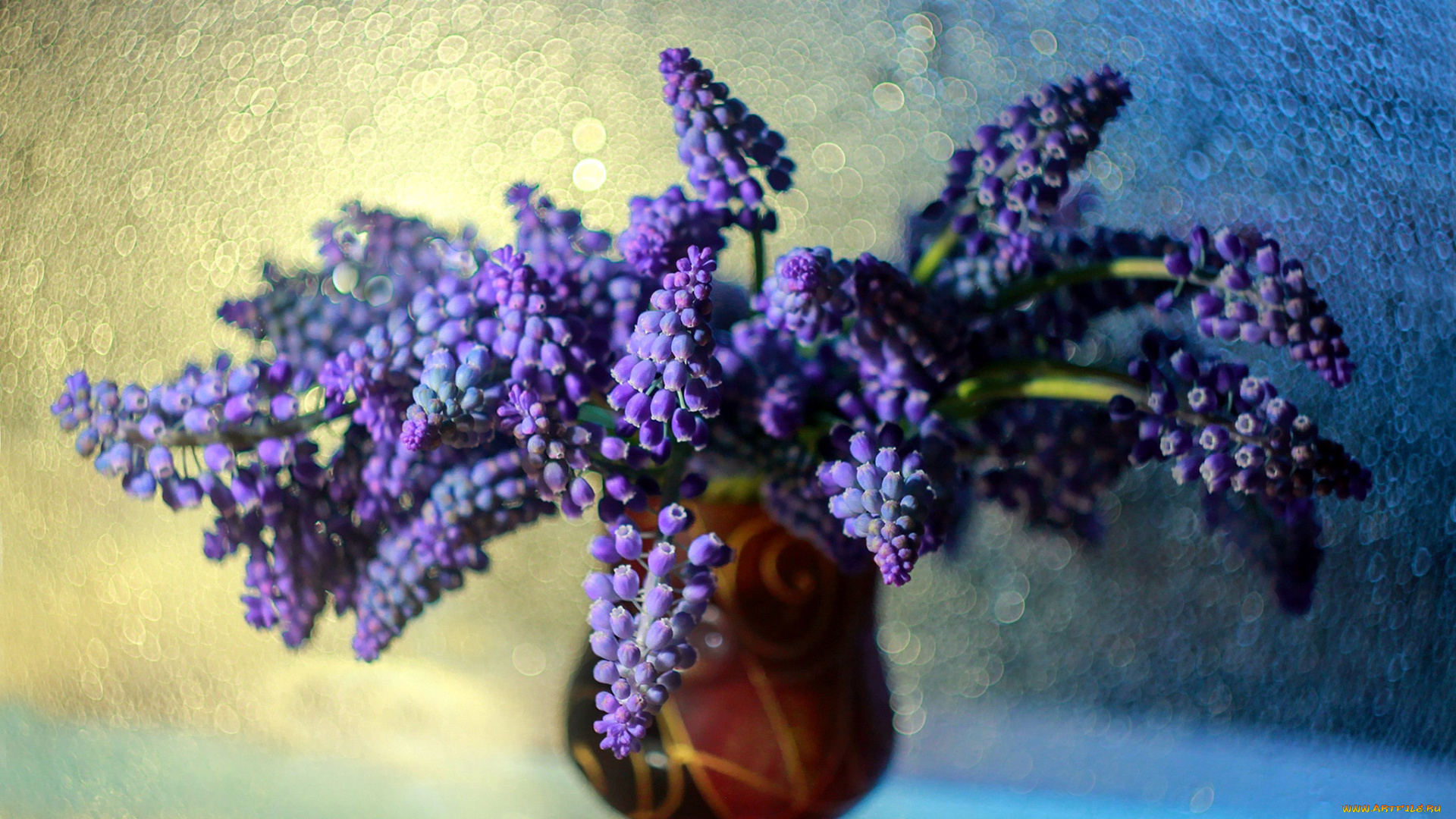 цветы, мускари, ваза, букет, синий