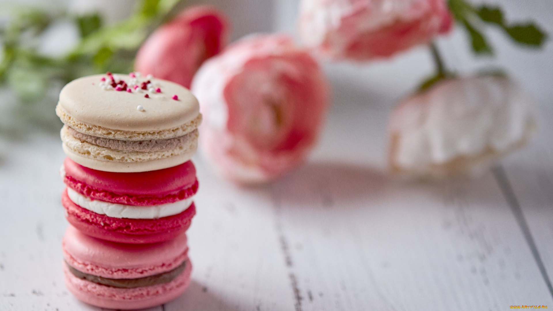 еда, макаруны, лакомство, печенье, ассорти