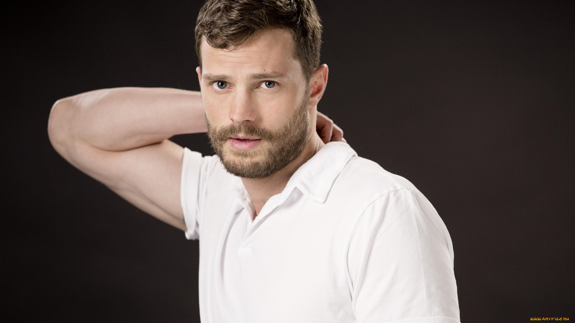 мужчины, jamie, dornan, актер, борода, футболка