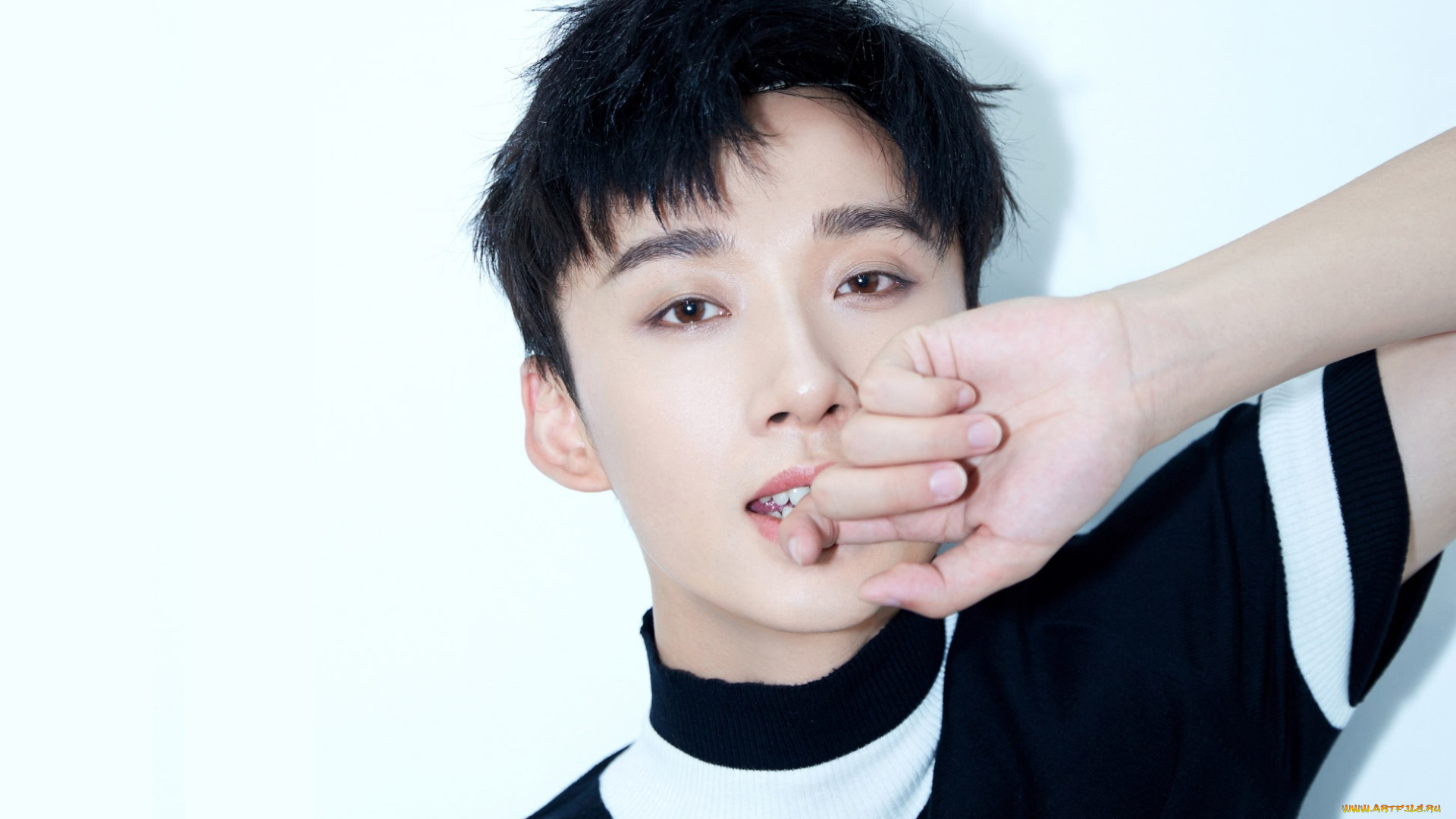 мужчины, li, bo, wen, li, bo, wen