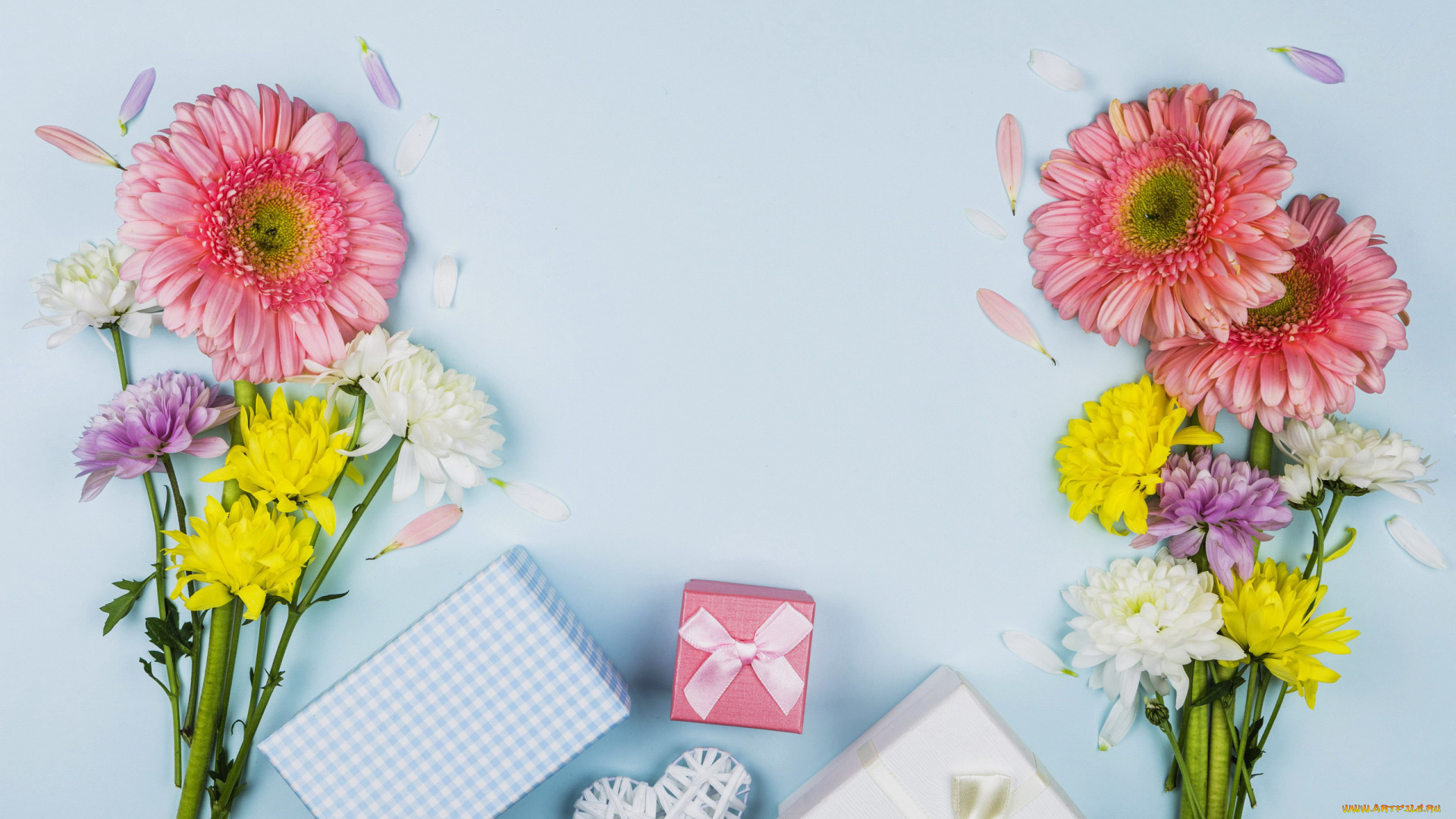 праздничные, день, святого, валентина, , сердечки, , любовь, подарки, герберы, лепестки, хризантемы, сердечко