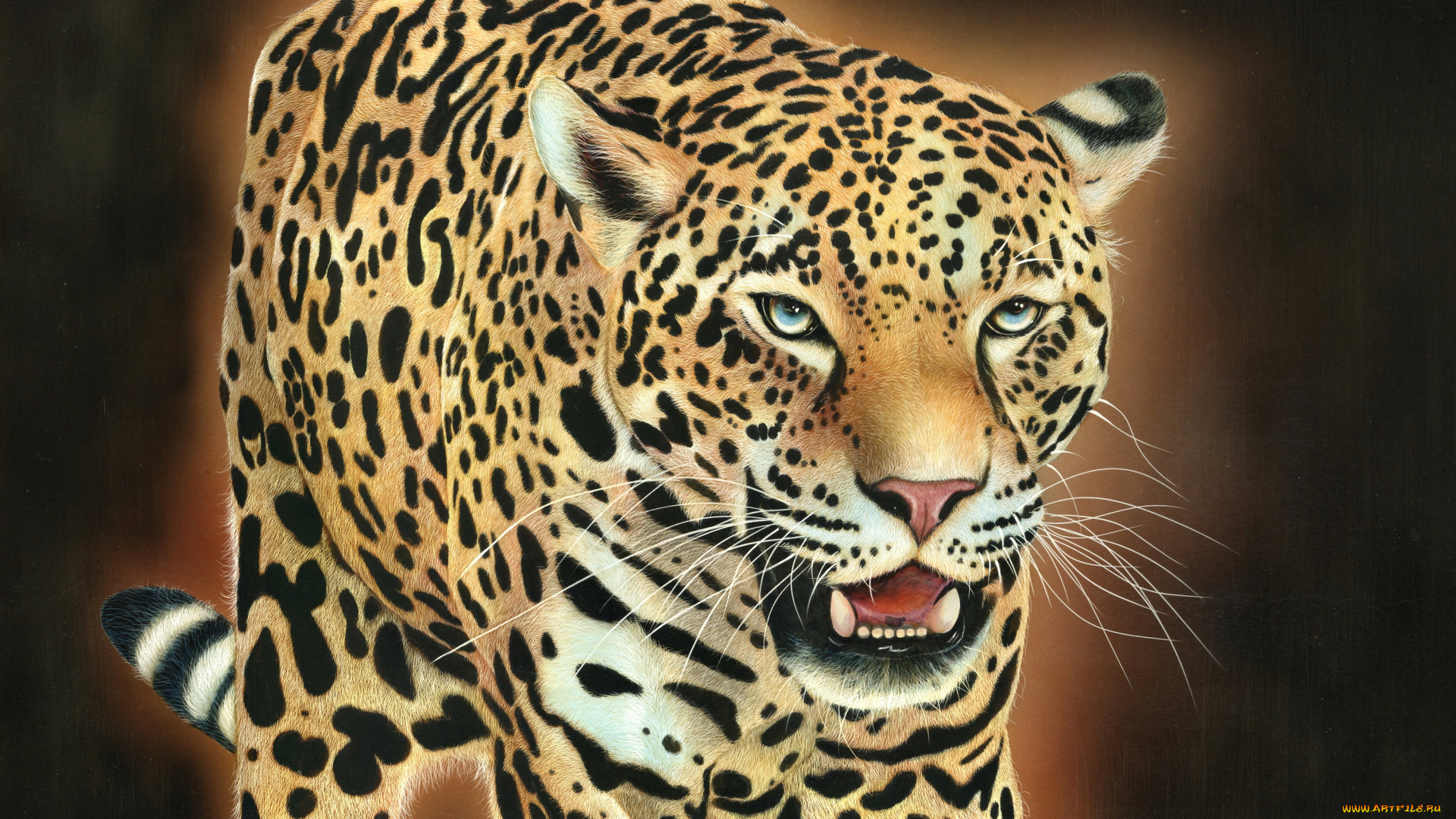 рисованное, животные, , гепарды, кошка, гепард, фон, взгляд