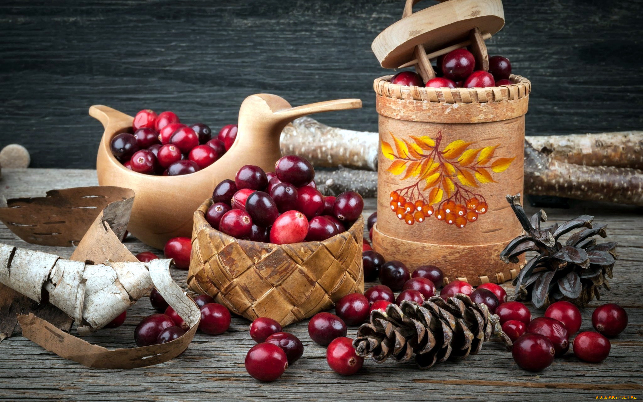 еда, клюква, шишки, ягоды
