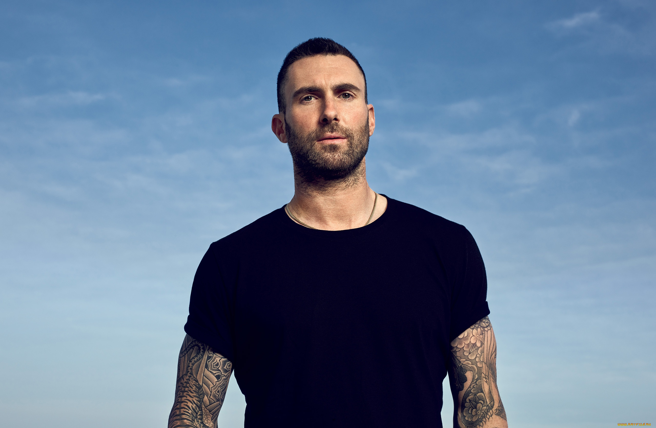 adam, levine, музыка, -другое, adam, levine