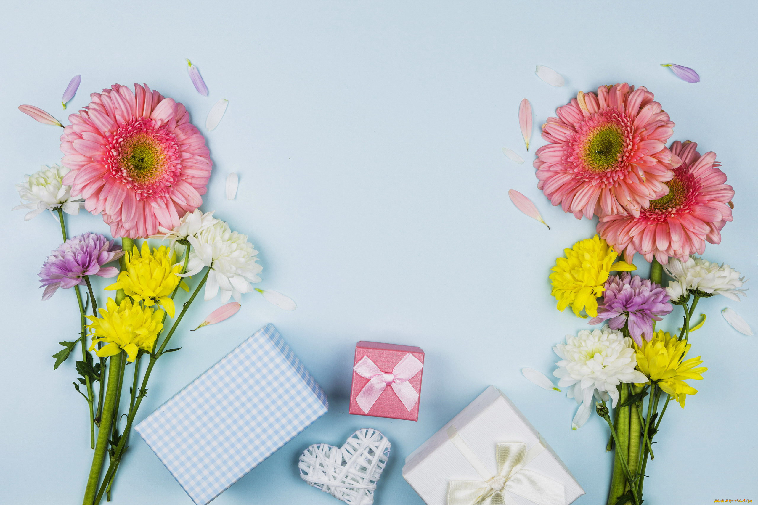 праздничные, день, святого, валентина, , сердечки, , любовь, подарки, герберы, лепестки, хризантемы, сердечко