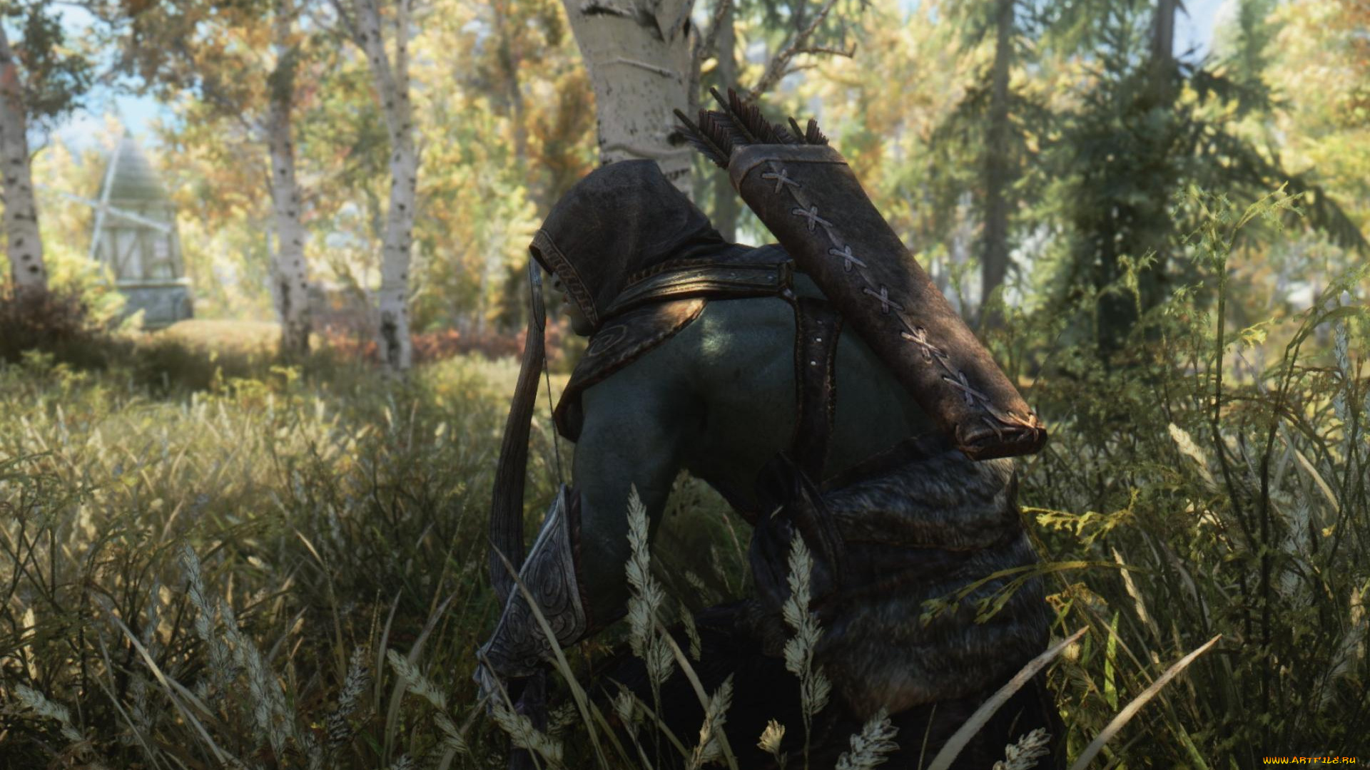 видео, игры, the, elder, scrolls, v, , skyrim, воин, лучник, трава, лес, засада