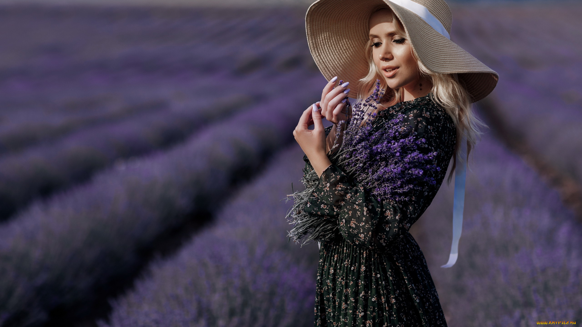 девушки, -, блондинки, , светловолосые, поле, лаванда, цветы, блондинка, шляпа