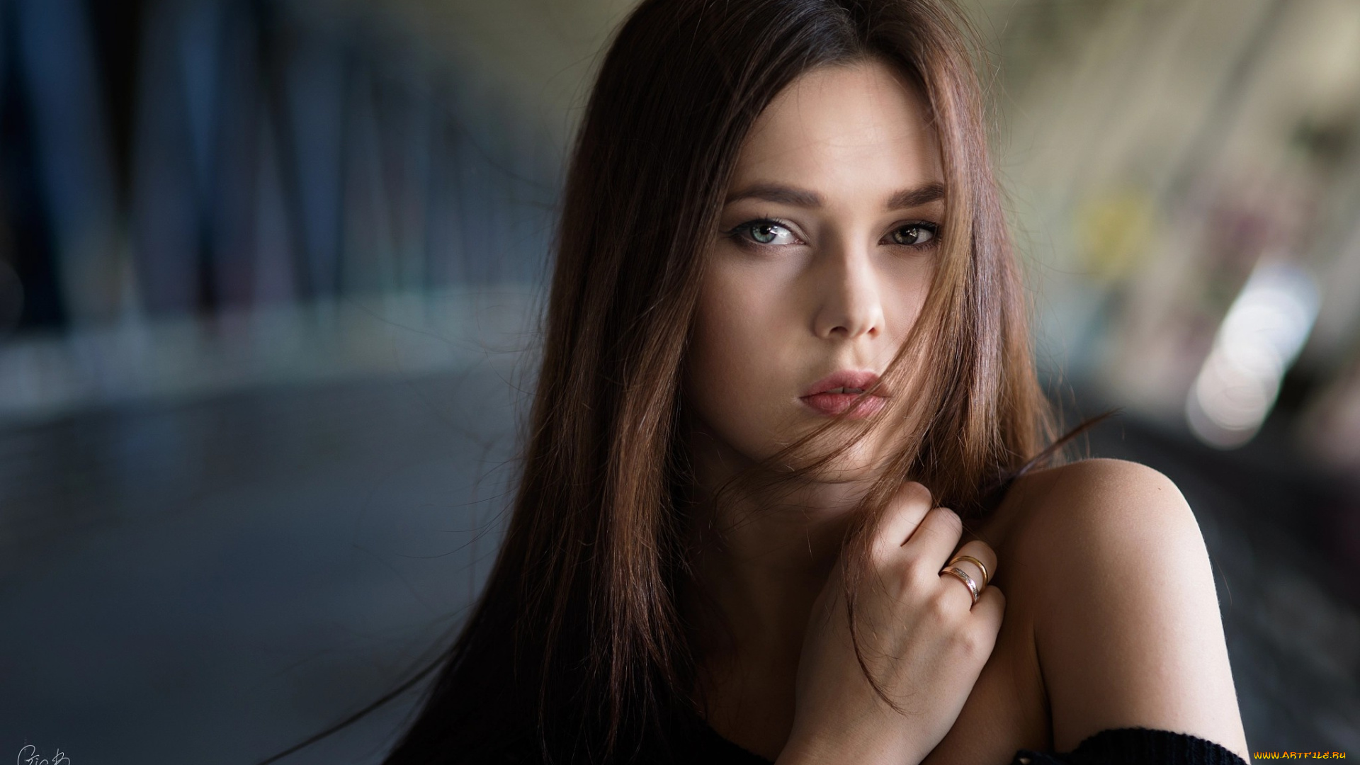 девушки, -, брюнетки, , шатенки, деннис, дрожжин, брюнетка, портрет, смотрит, на, зрителя, размыто, боке, лицо, женщины, модель, голые, плечи, серые, глаза, волосы, лице, фотография, глубина, резкости