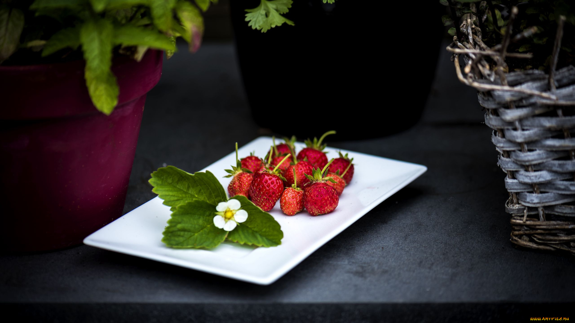 еда, клубника, , земляника, ягоды, листья, цветок