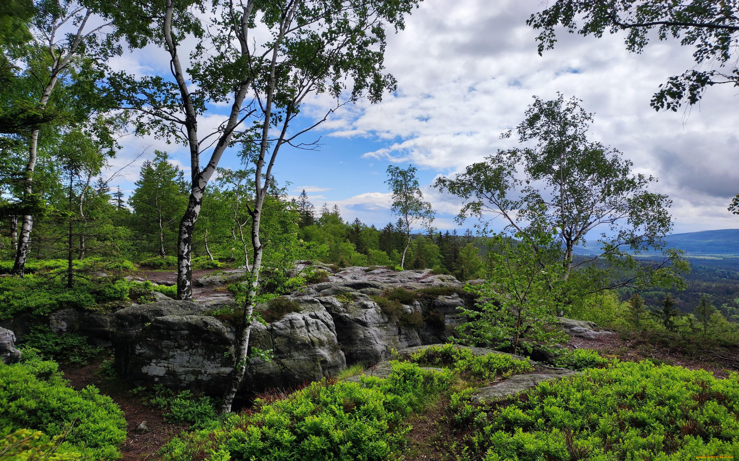 table, mountains, lower, silesia, poland, природа, горы, table, mountains, lower, silesia
