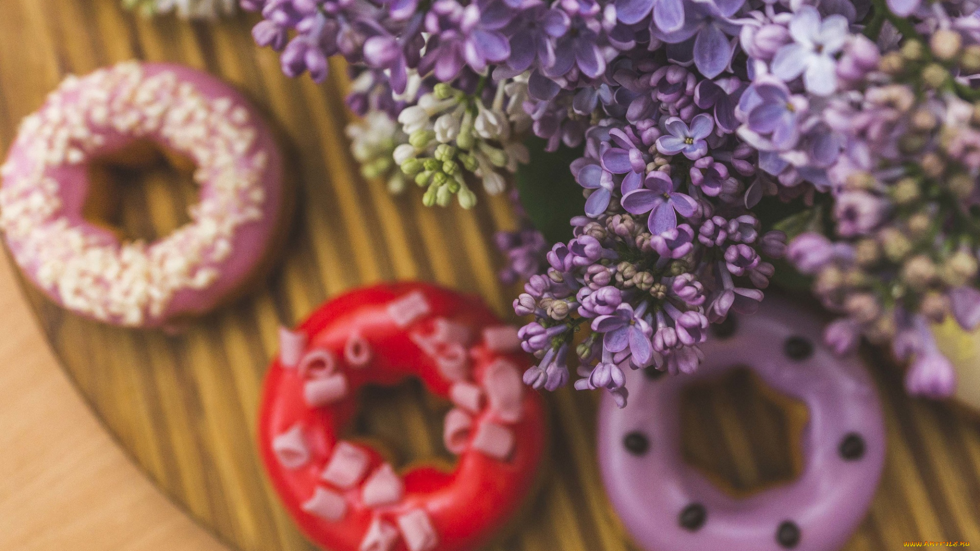 цветы, сирень