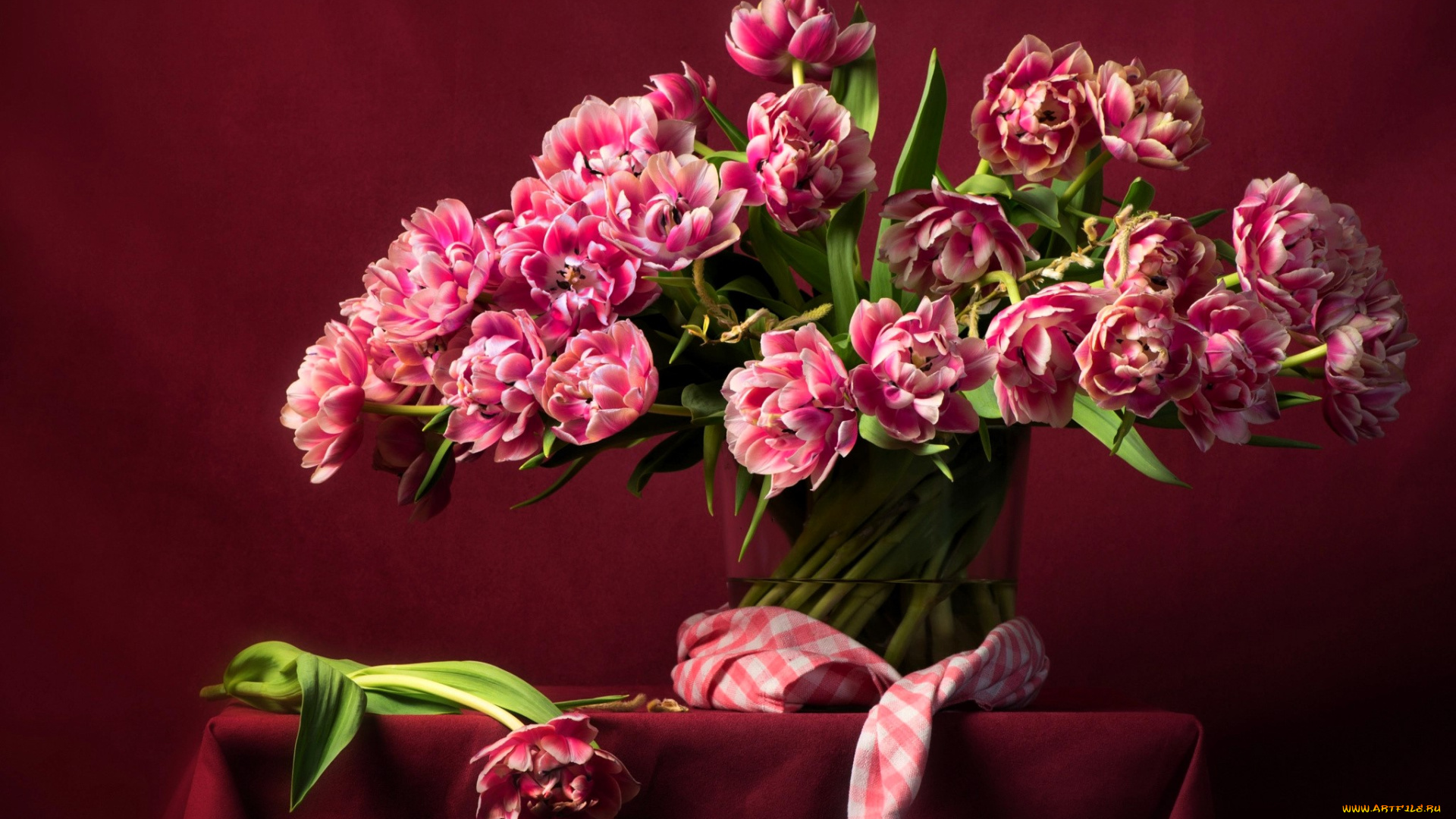 цветы, тюльпаны, розовые, банка, скатерть