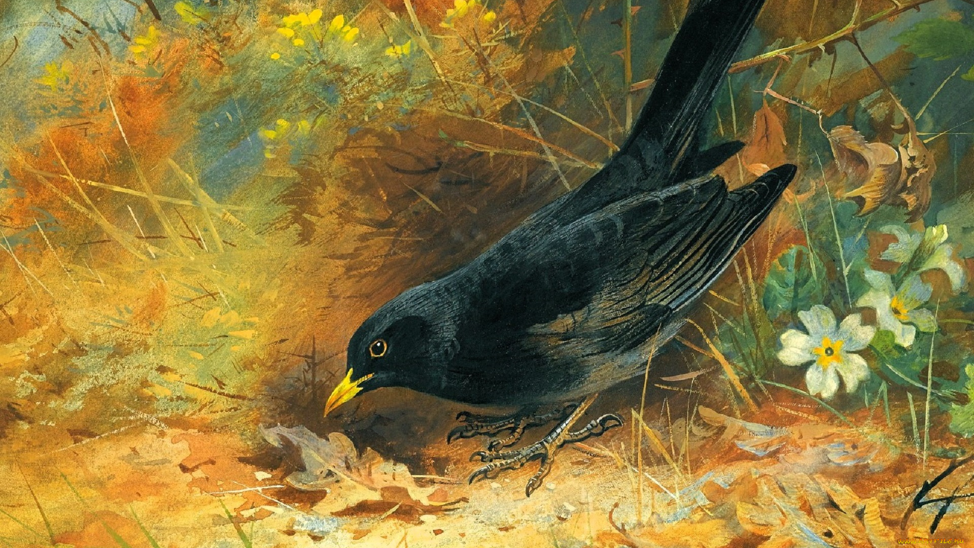 рисованное, archibald, thorburn, птица, трава, цветы, кусты