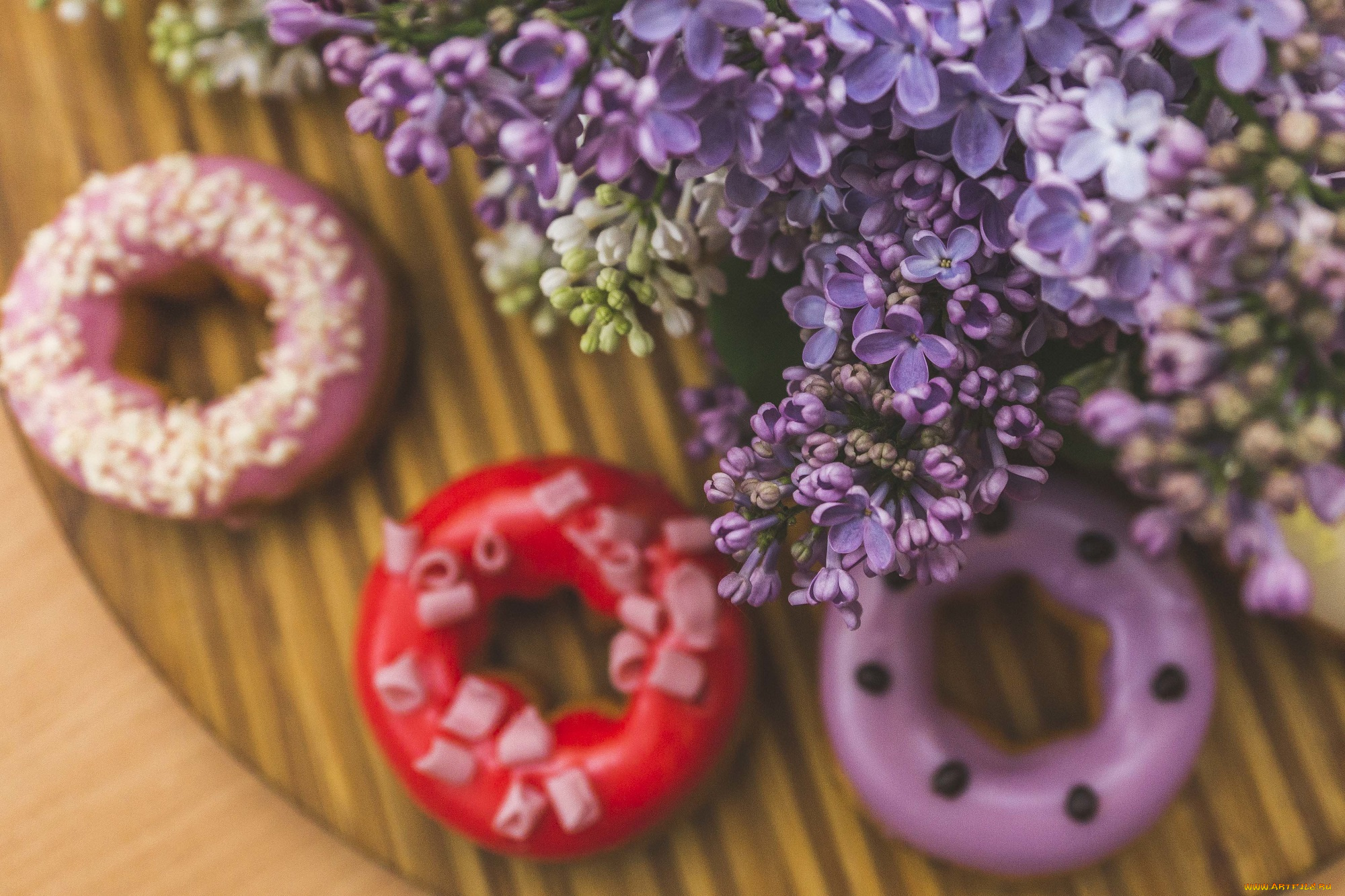 цветы, сирень