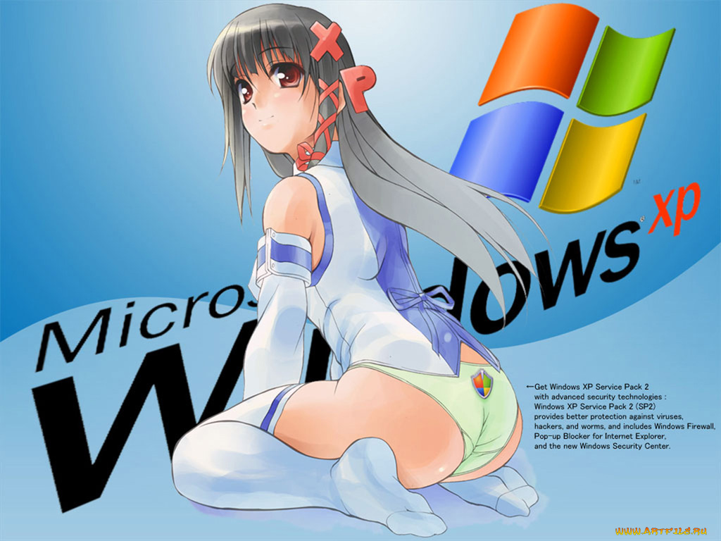 компьютеры, windows, xp