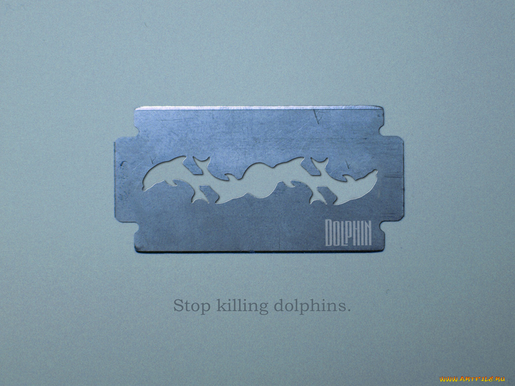 музыка, дельфин
