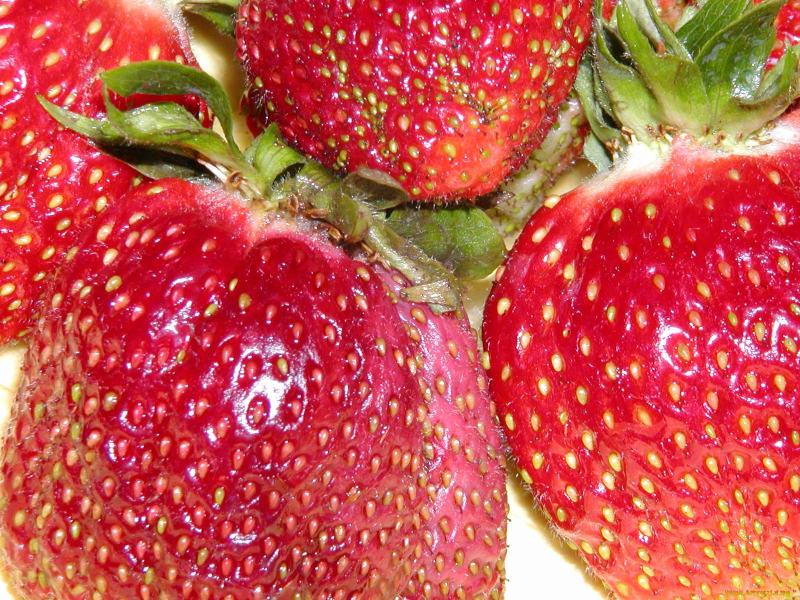 еда, клубника, земляника