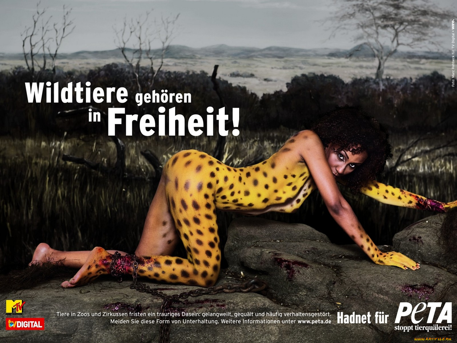 peta, бренды, people, for, the, ethical, treatment, of, animals