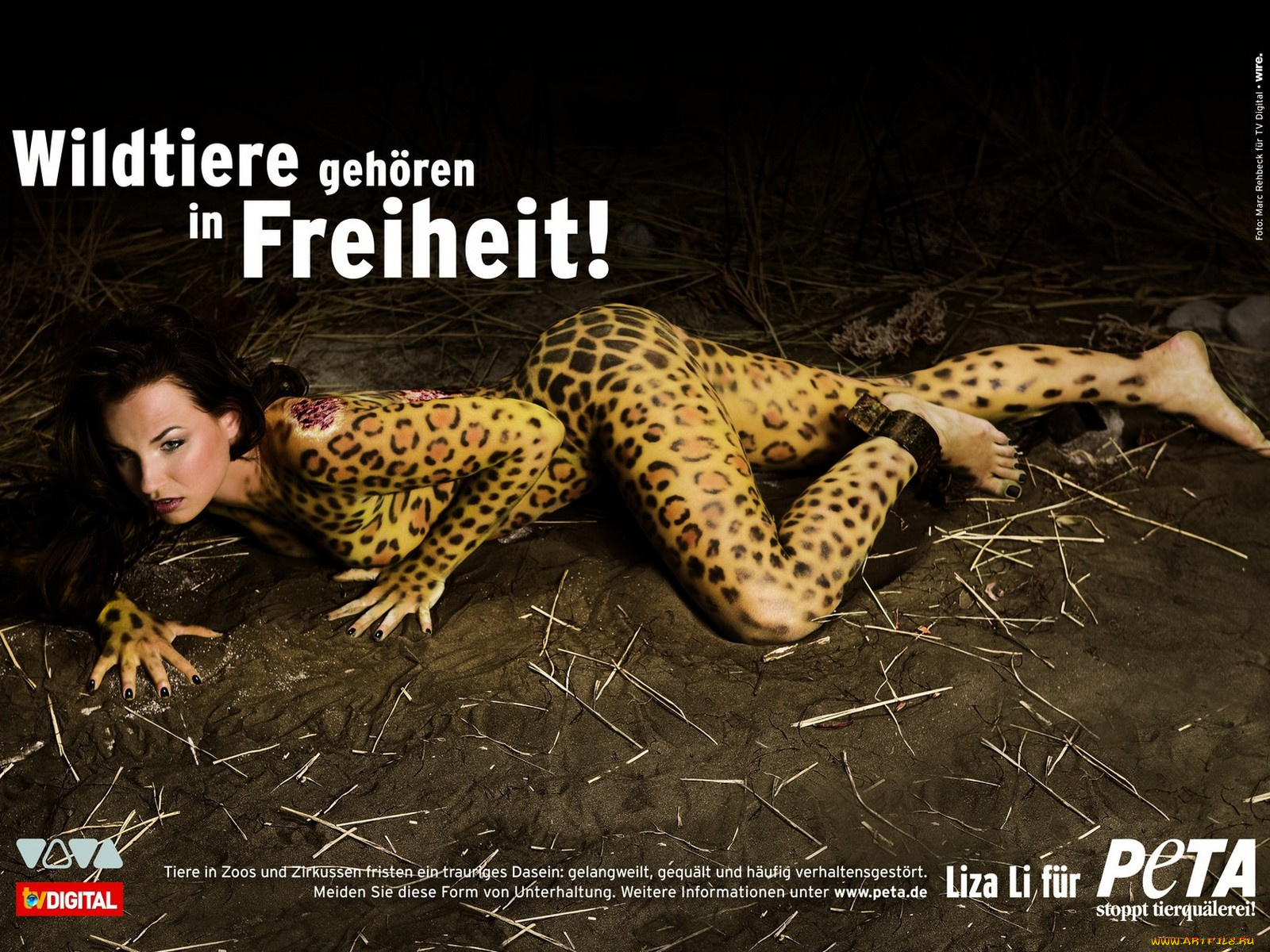 peta, бренды, people, for, the, ethical, treatment, of, animals