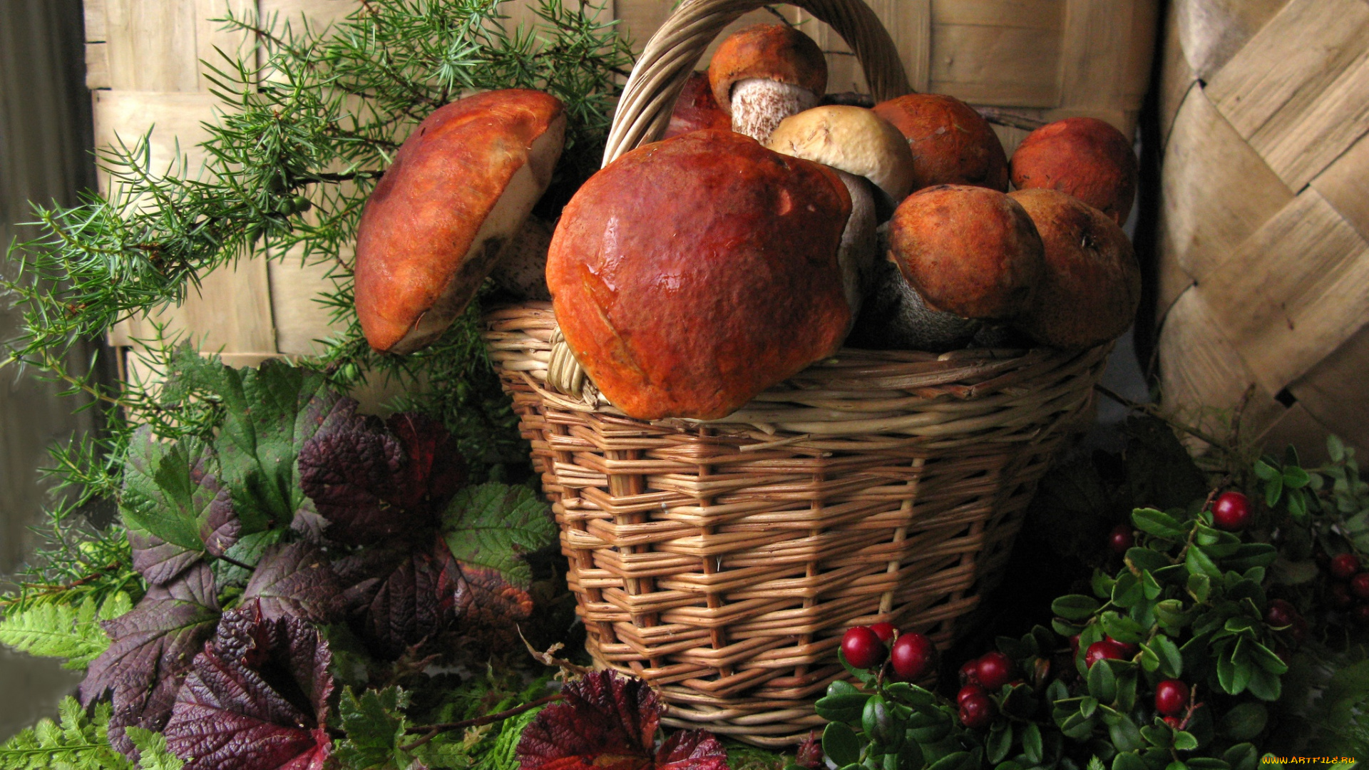 еда, грибы, грибные, блюда