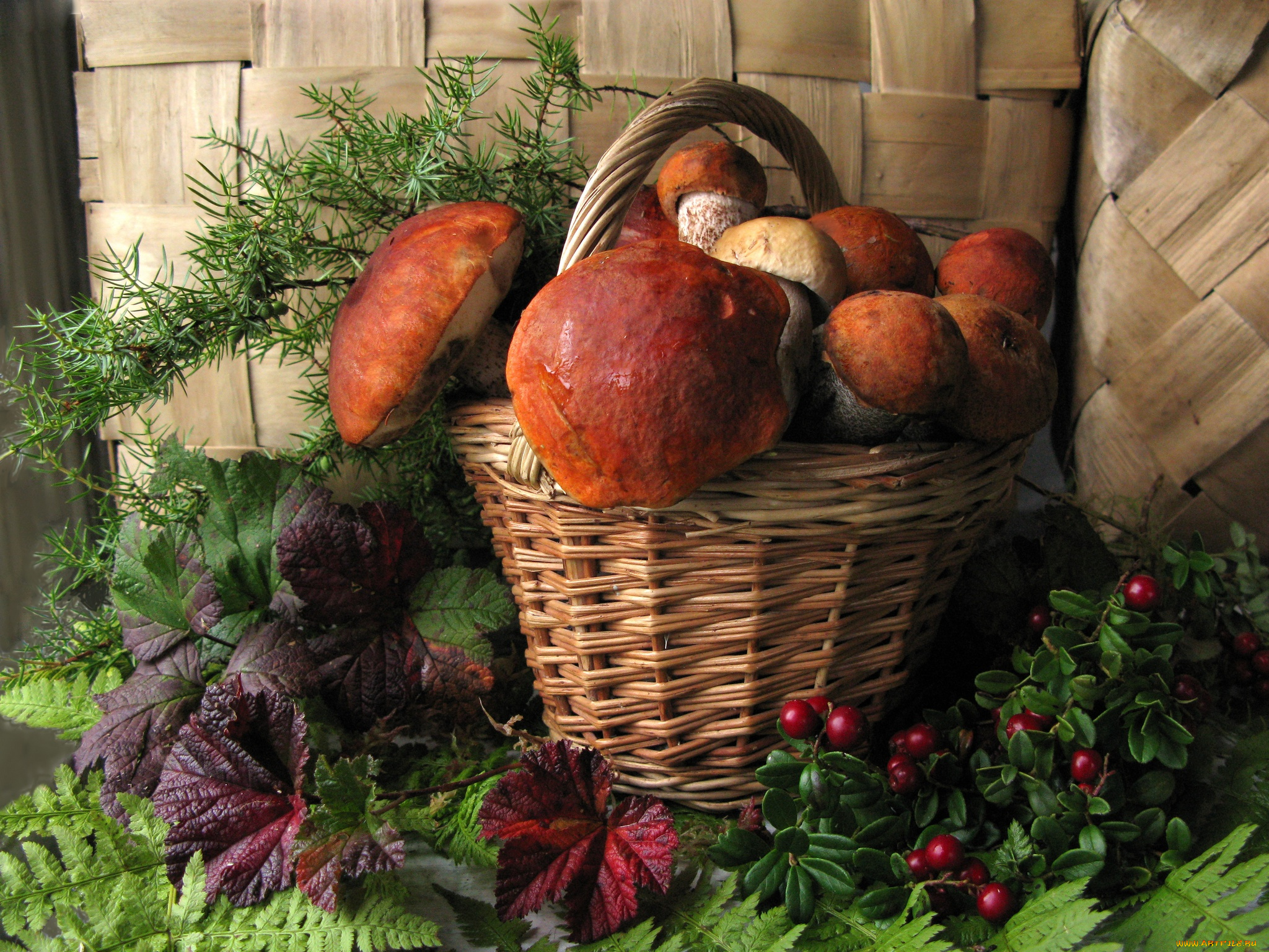 еда, грибы, грибные, блюда