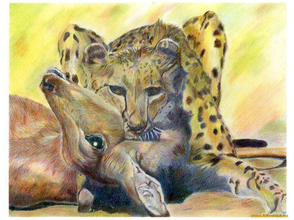 автор, игорь, андронов, рисованные